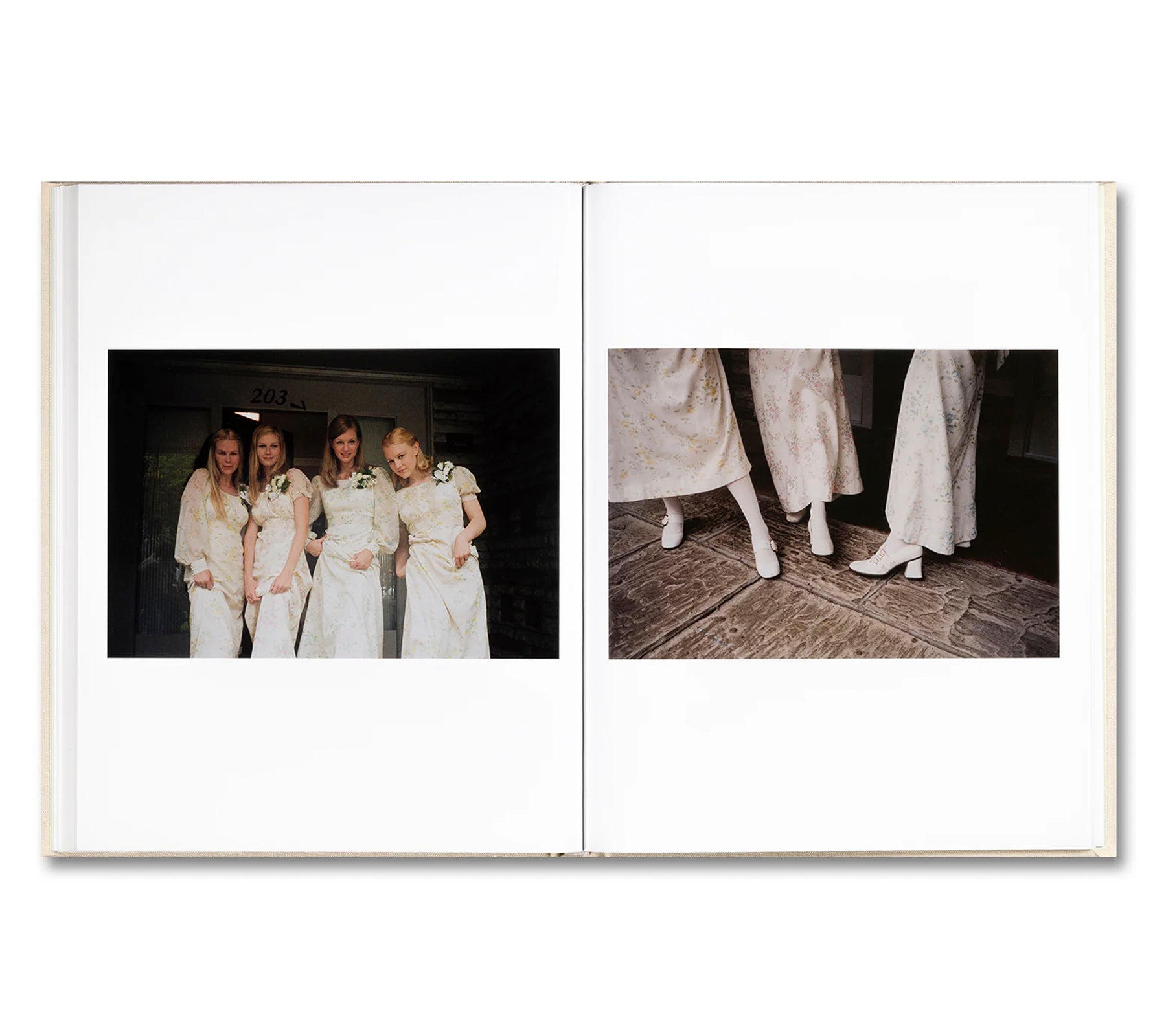 THE VIRGIN SUICIDES by Sofia Coppola – twelvebooks