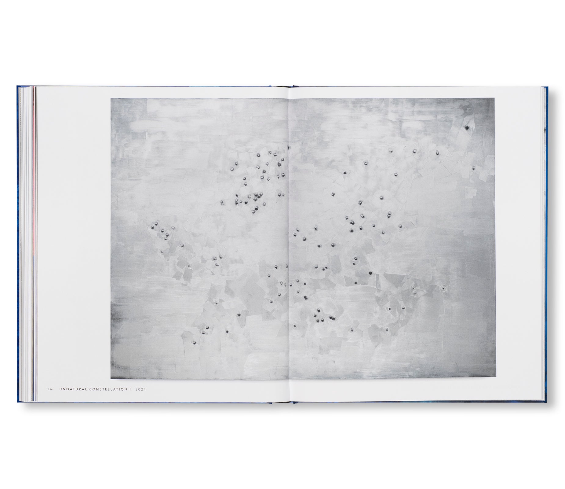 SOURCE NOTES by Lorna Simpson