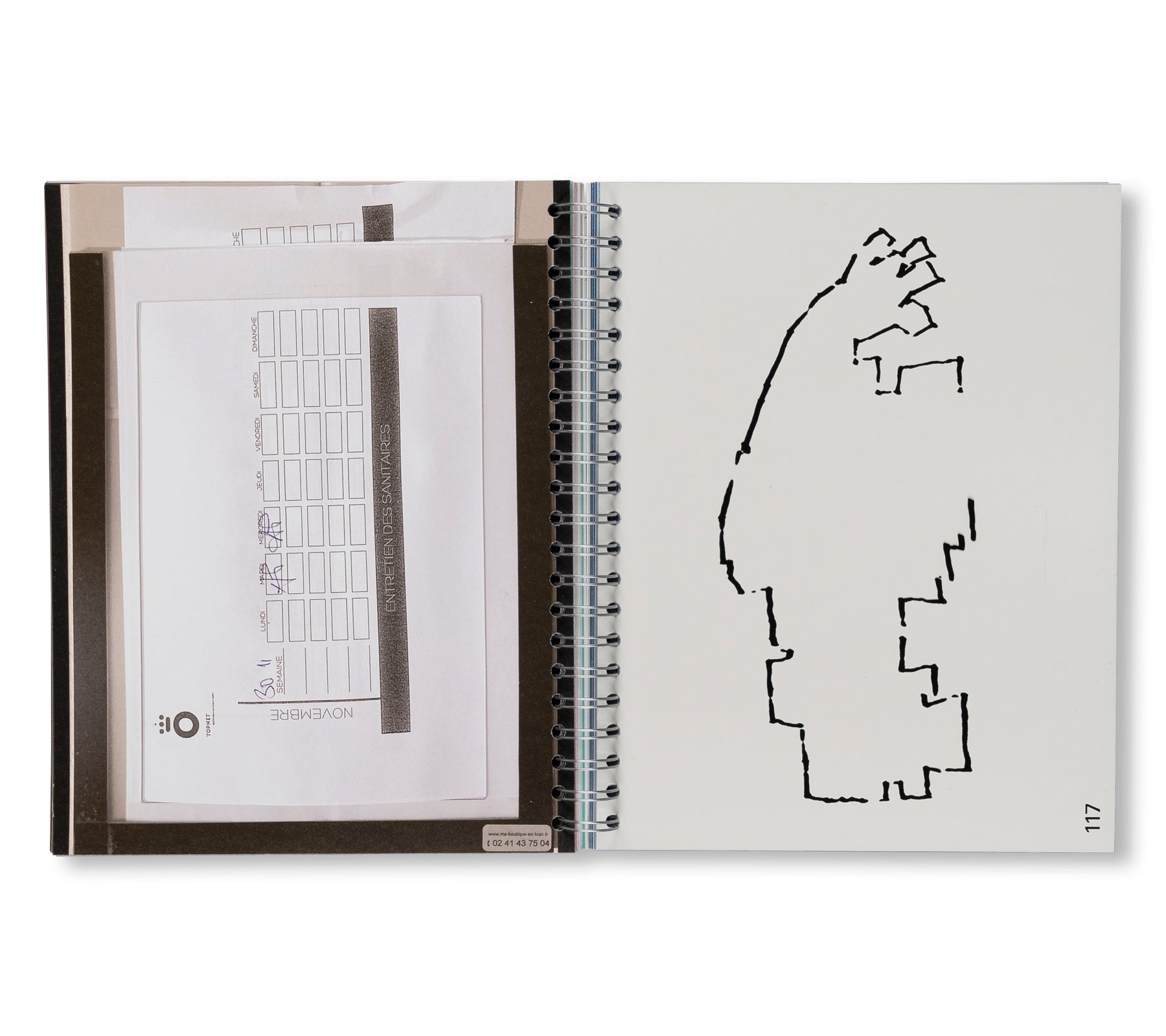 FORMS OF CONTINGENCY AND PATTERN OF IMMINENCE by Gabriel Kuri
