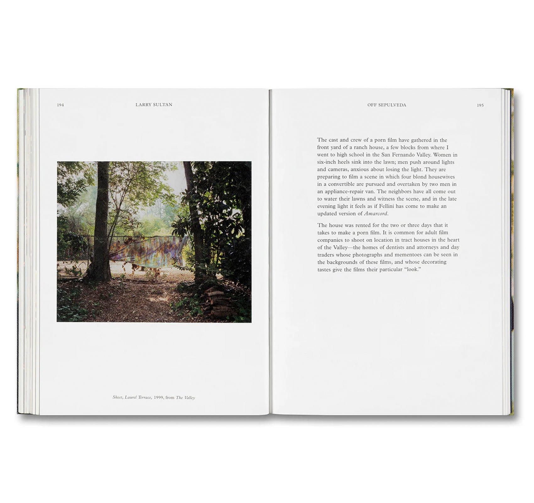 WATER OVER THUNDER: SELECTED WRITINGS by Larry Sultan