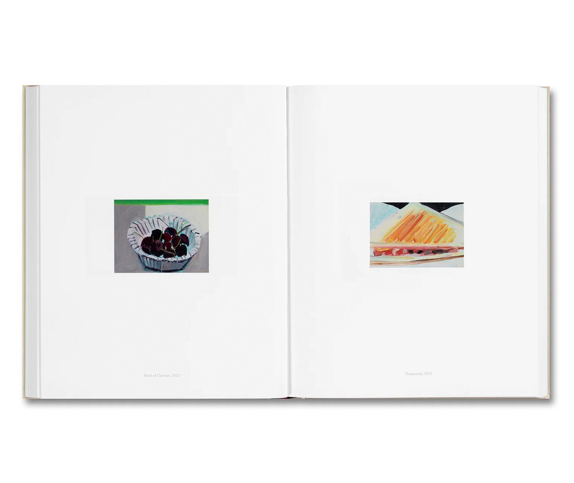 PAINTING WRITING TEXTING by Chantal Joffe, Olivia Laing