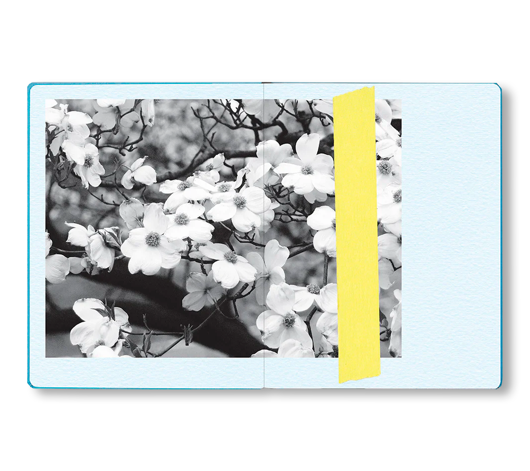 THE IMPORTANT FLOWERS PLANNER 2026 by Sofia Coppola