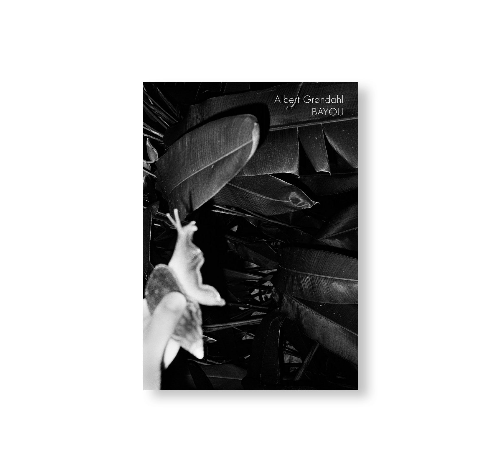 BAYOU by Albert Grøndahl