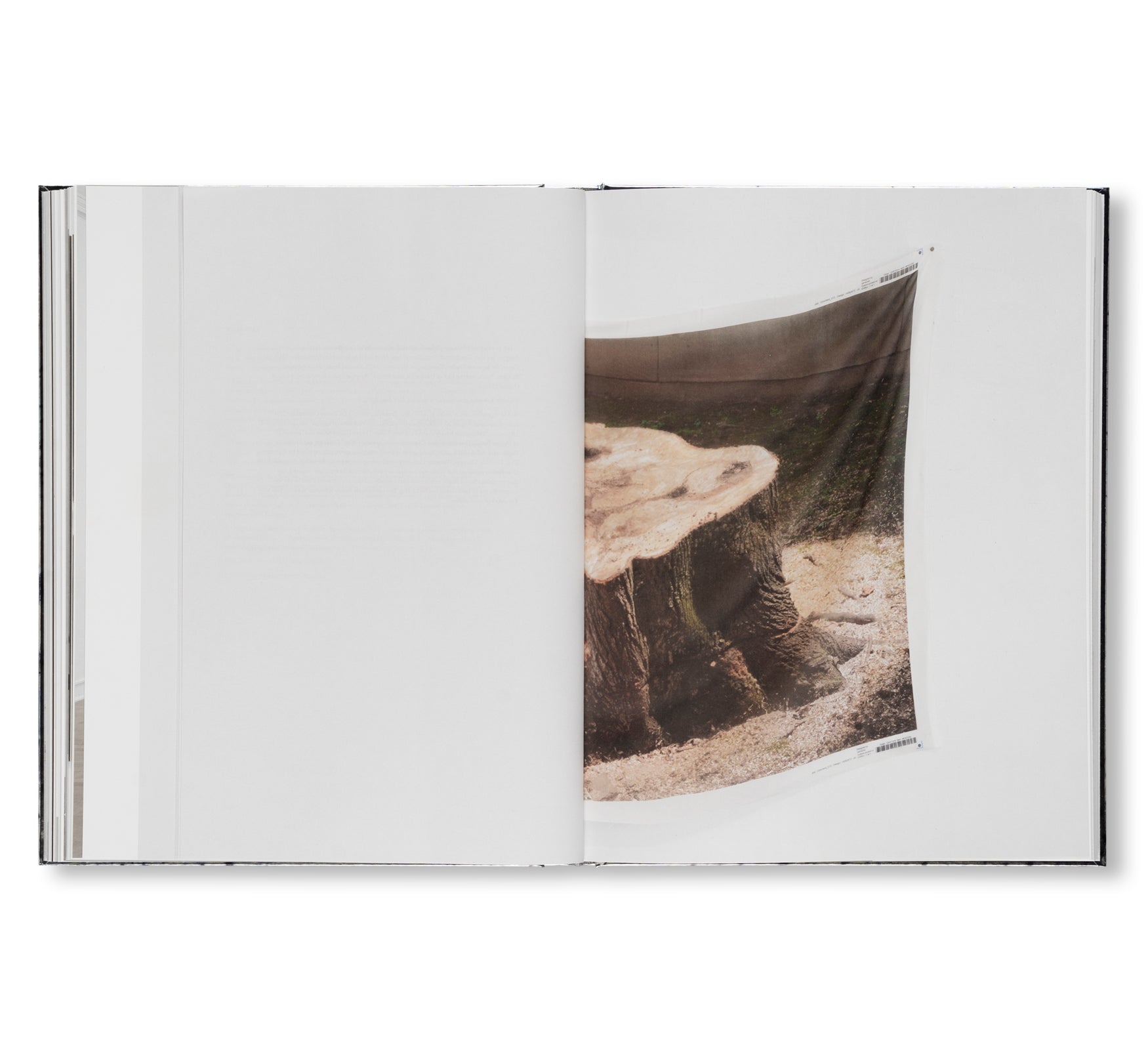 RE: CARRIE YAMAOKA by Carrie Yamaoka