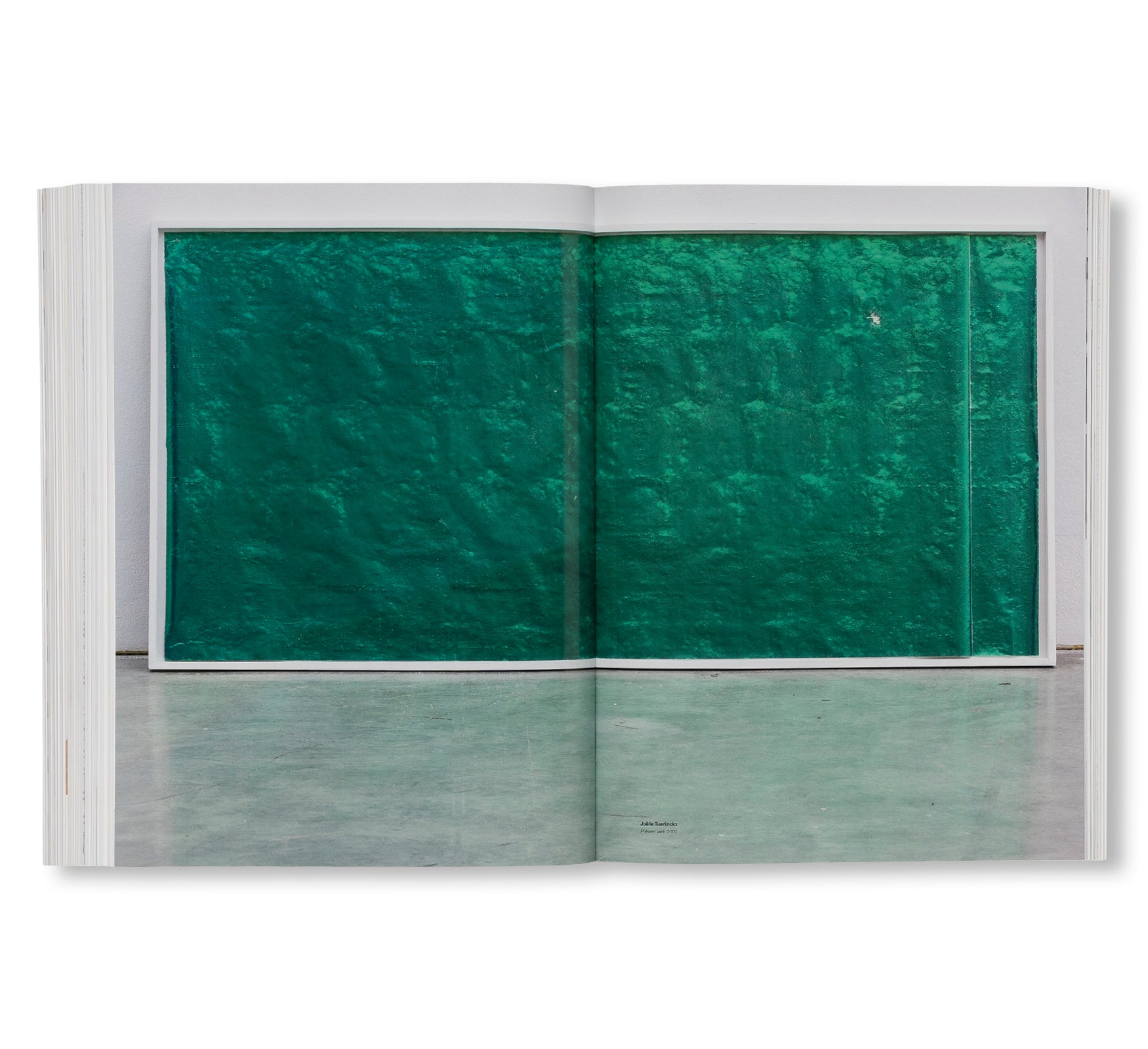 PLUS QUE 20 ANS APRÈS – GESAMMELTE WÖRTER UND BILDER / COLLECTED WORDS AND IMAGES