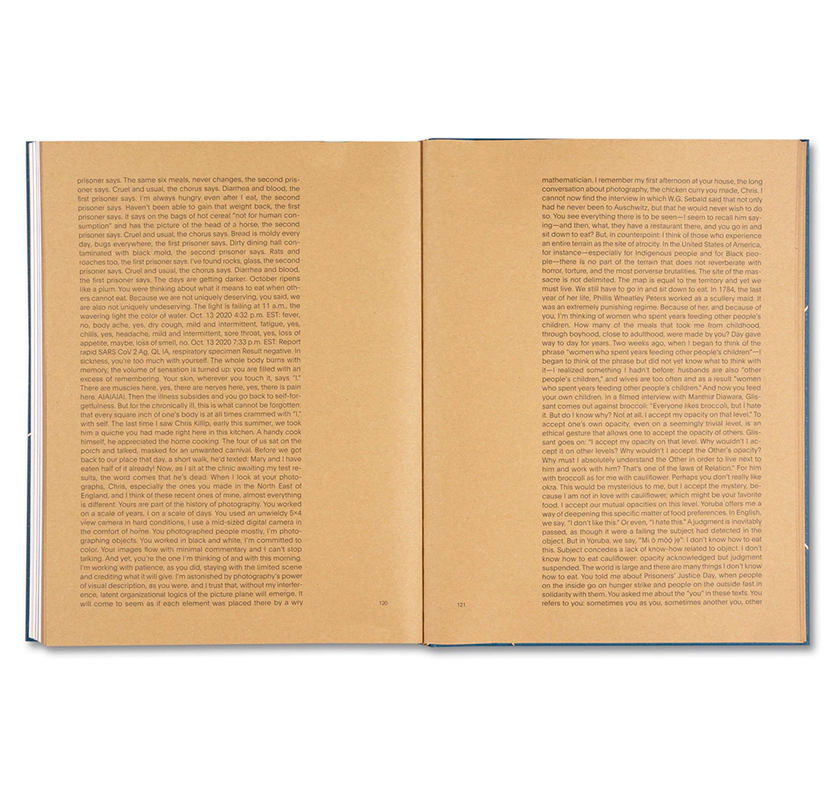 GOLDEN APPLE OF THE SUN by Teju Cole