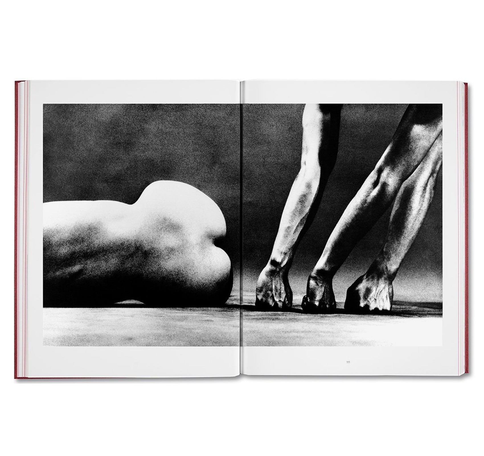 EIKOH HOSOE by Yasufumi Nakamori [ENGLISH EDITION]