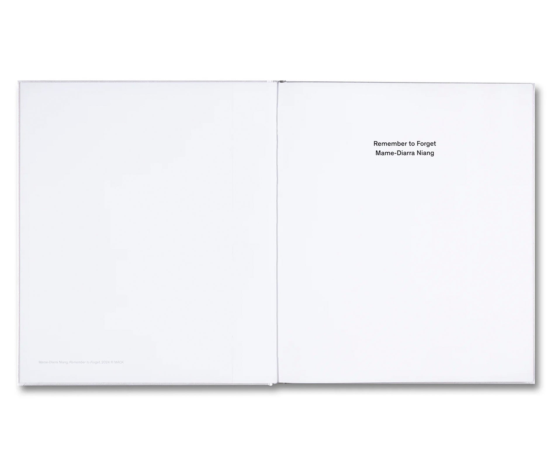 REMEMBER TO FORGET by Mame-Diarra Niang [SIGNED]