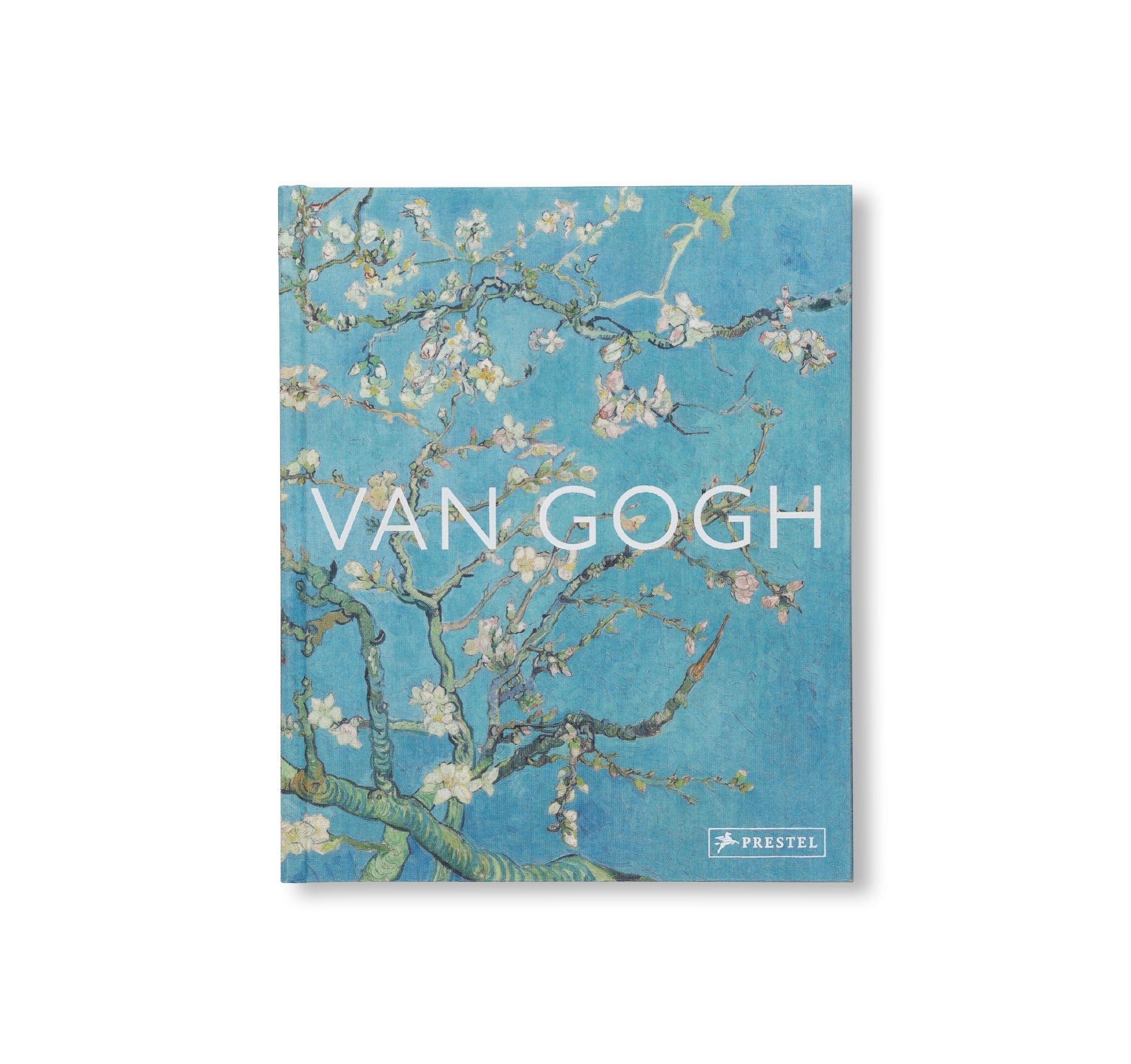 VAN GOGH - THE BIGGER PICTURE by Anne Sefrioui