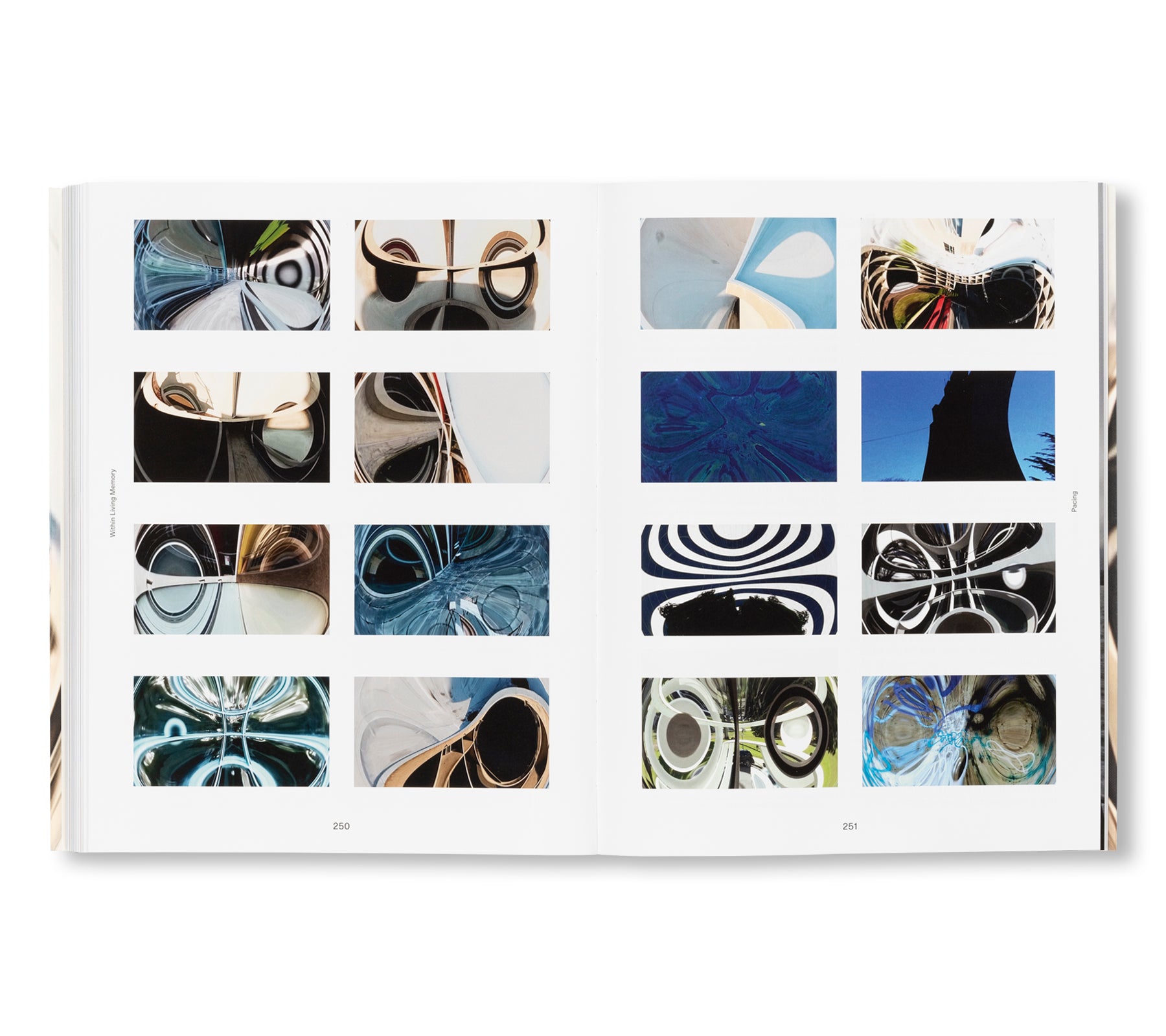 PACING by Renée Green