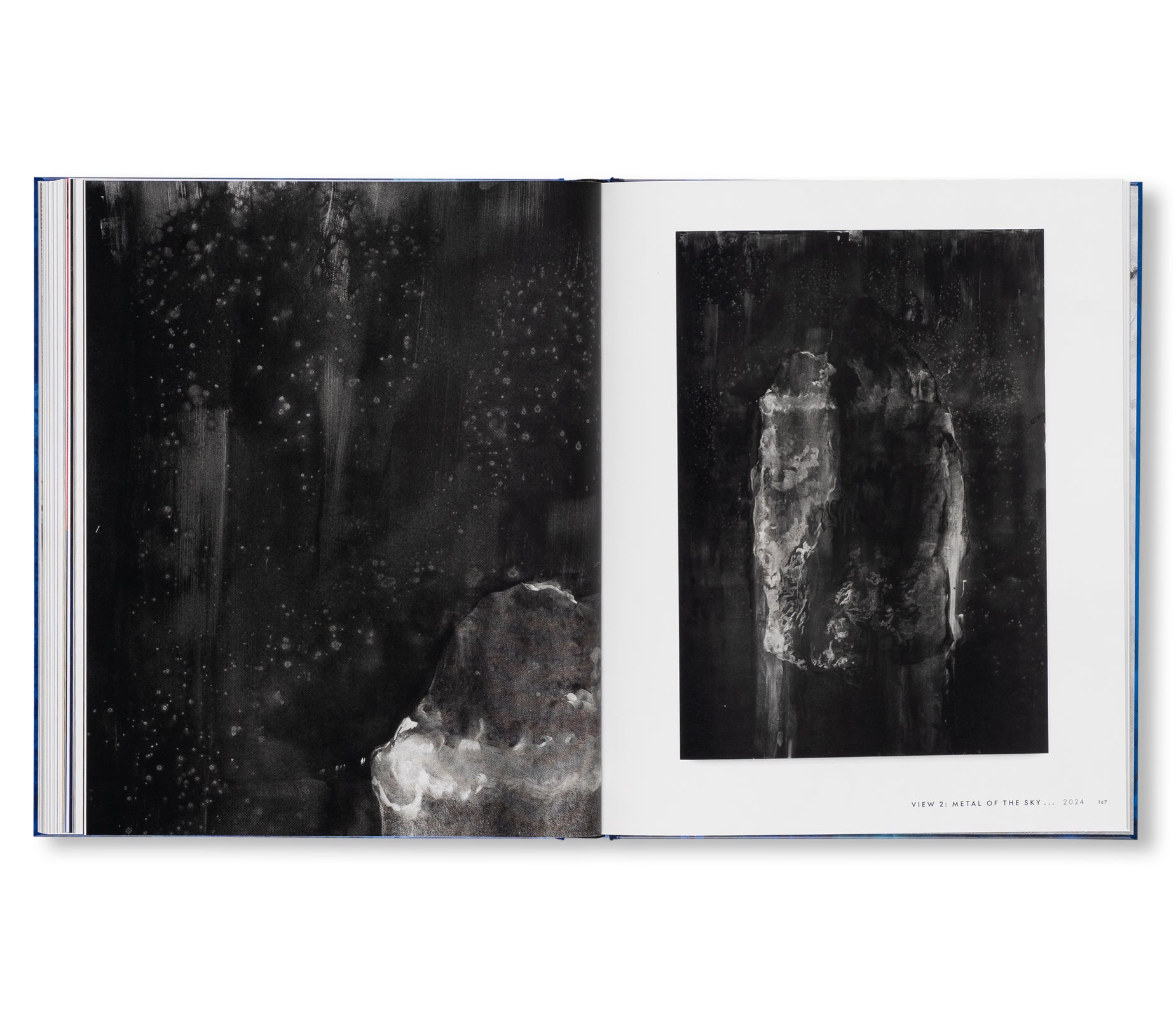 SOURCE NOTES by Lorna Simpson