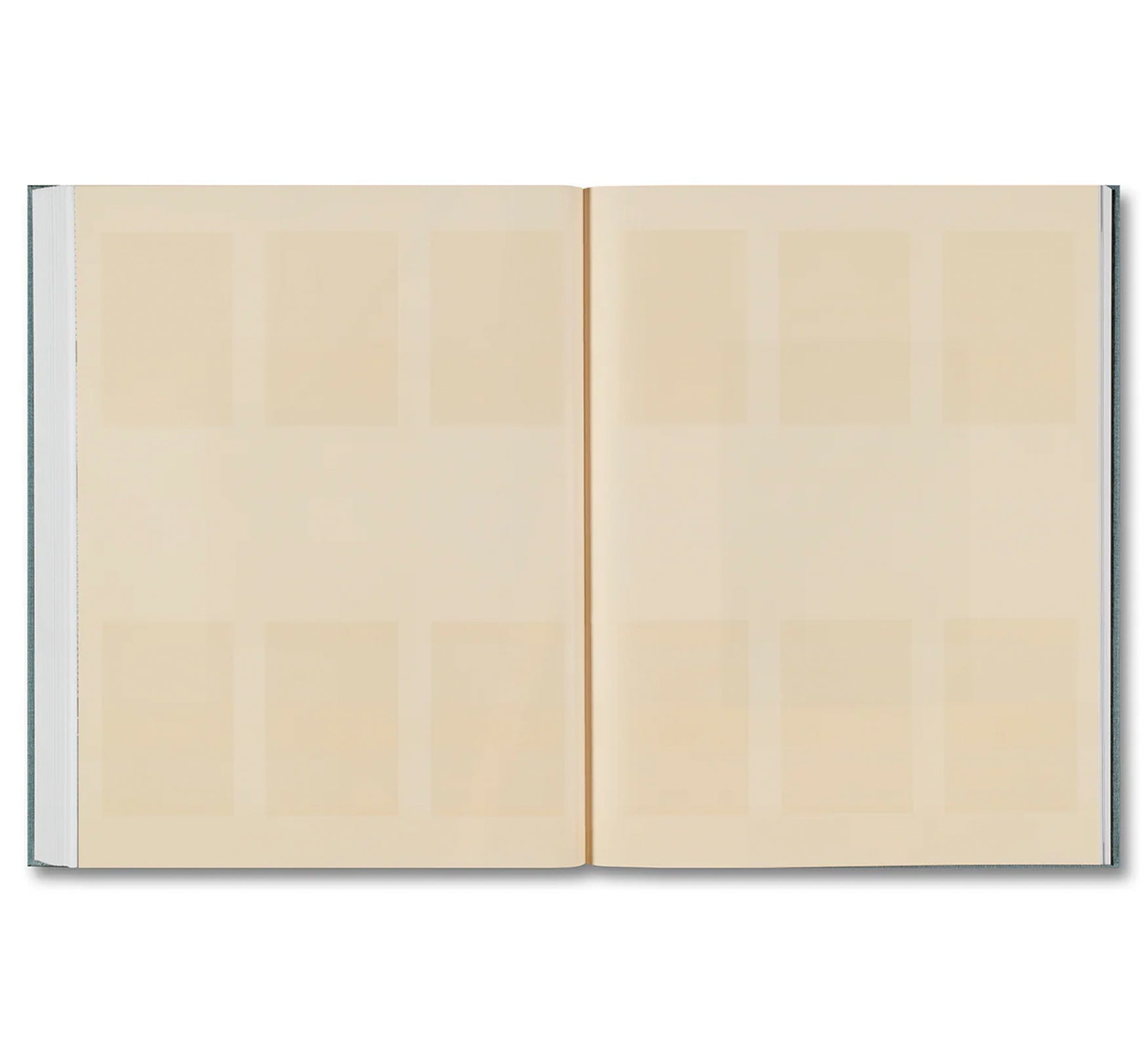 DISTRIBUTION by Daniel Shea [SIGNED]