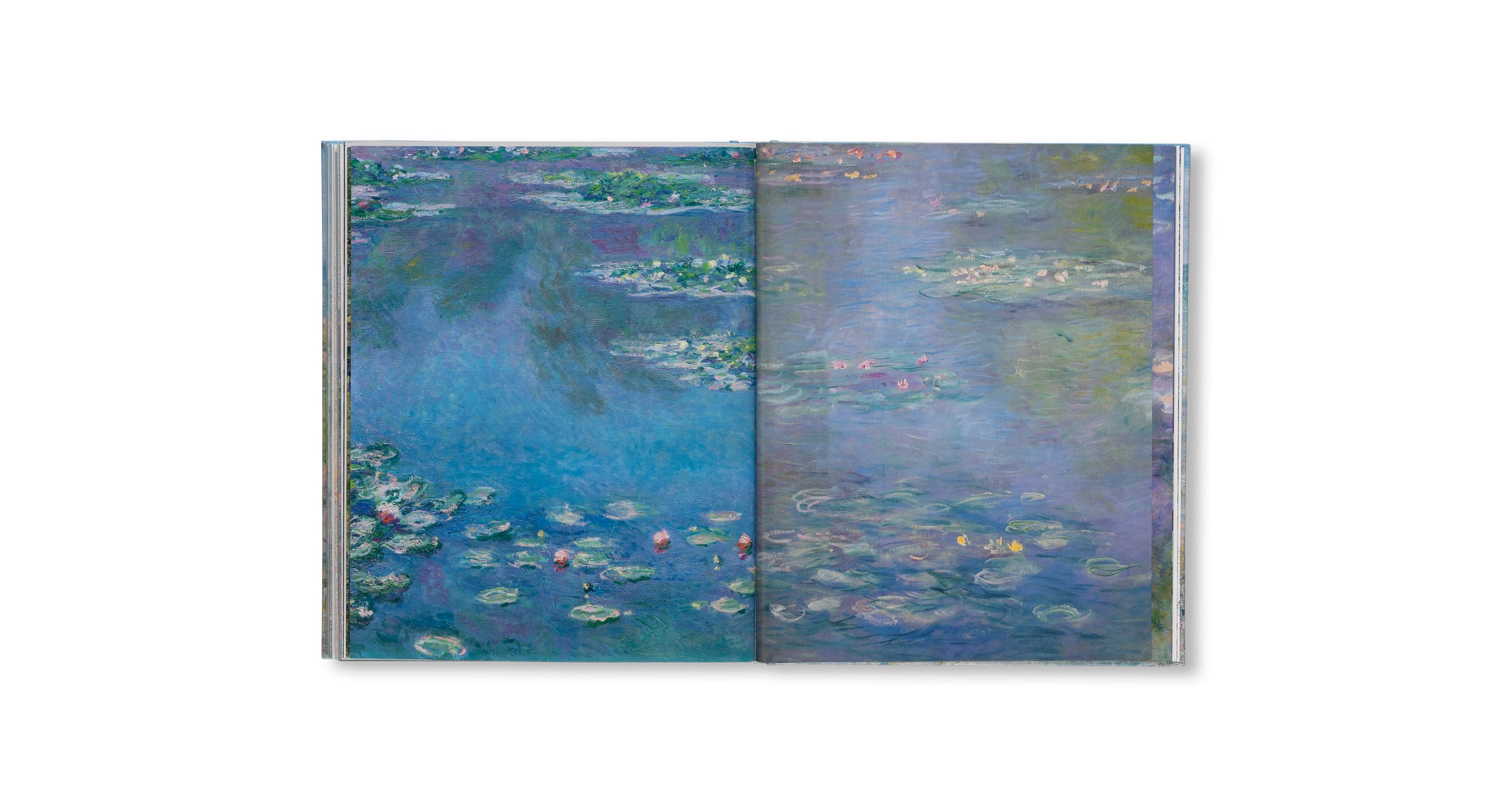 MONET - THE BIGGER PICTURE by Anne Sefrioui