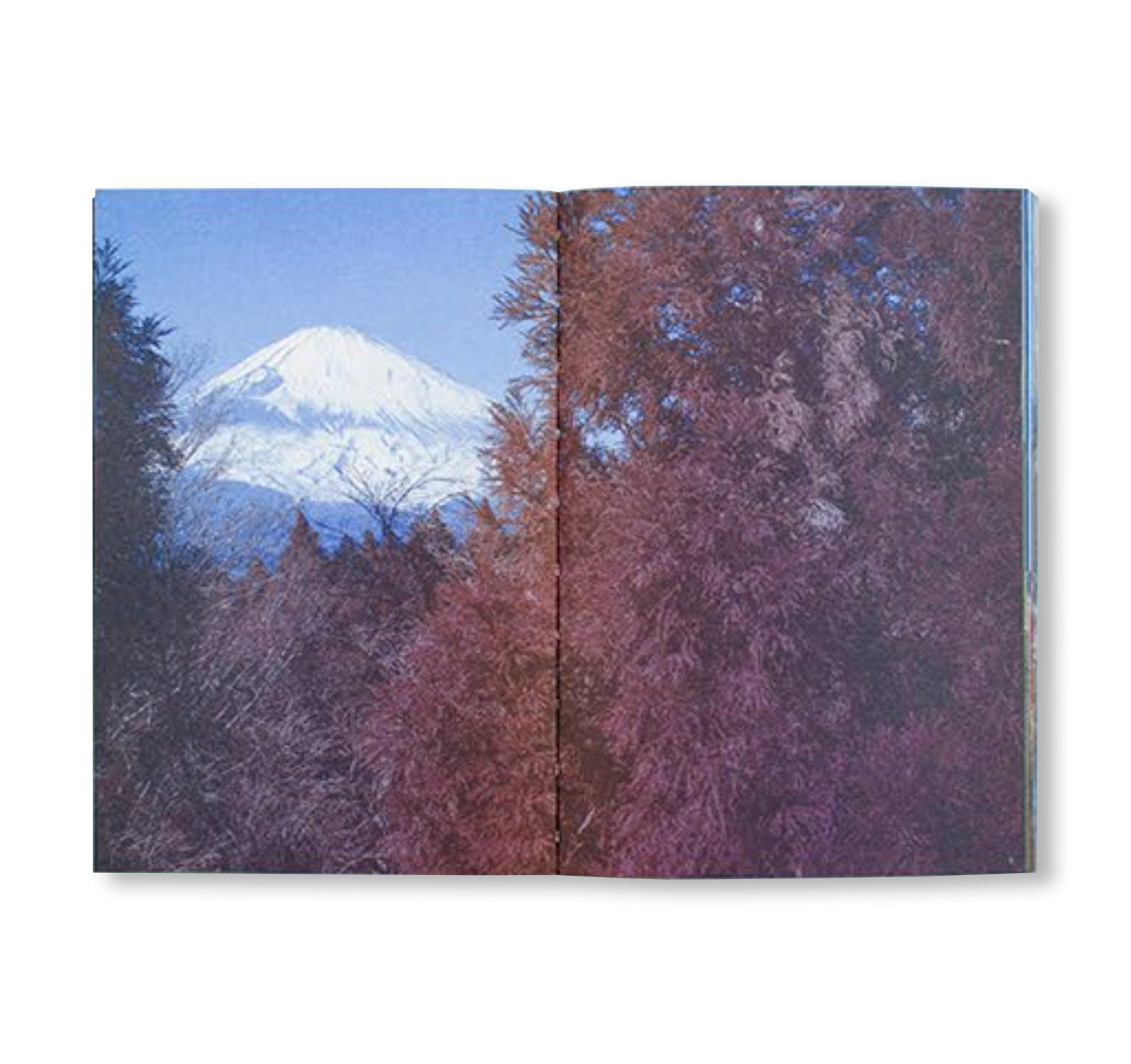 FUJI by Fanette Mellier, Clément Vauchez