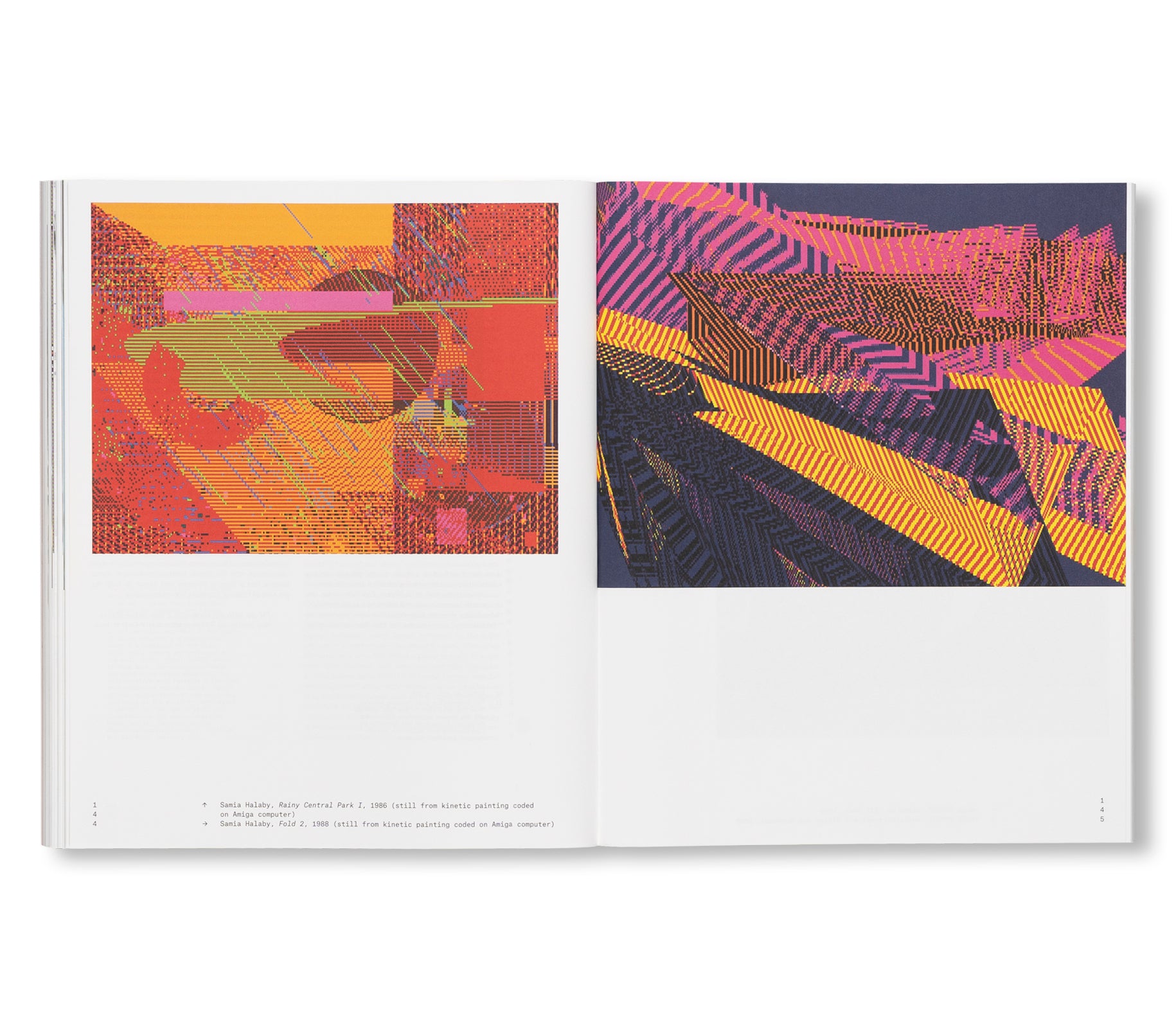 RADICAL SOFTWARE: WOMEN, ART & COMPUTING 1960-1991 [ENGLISH EDITION]