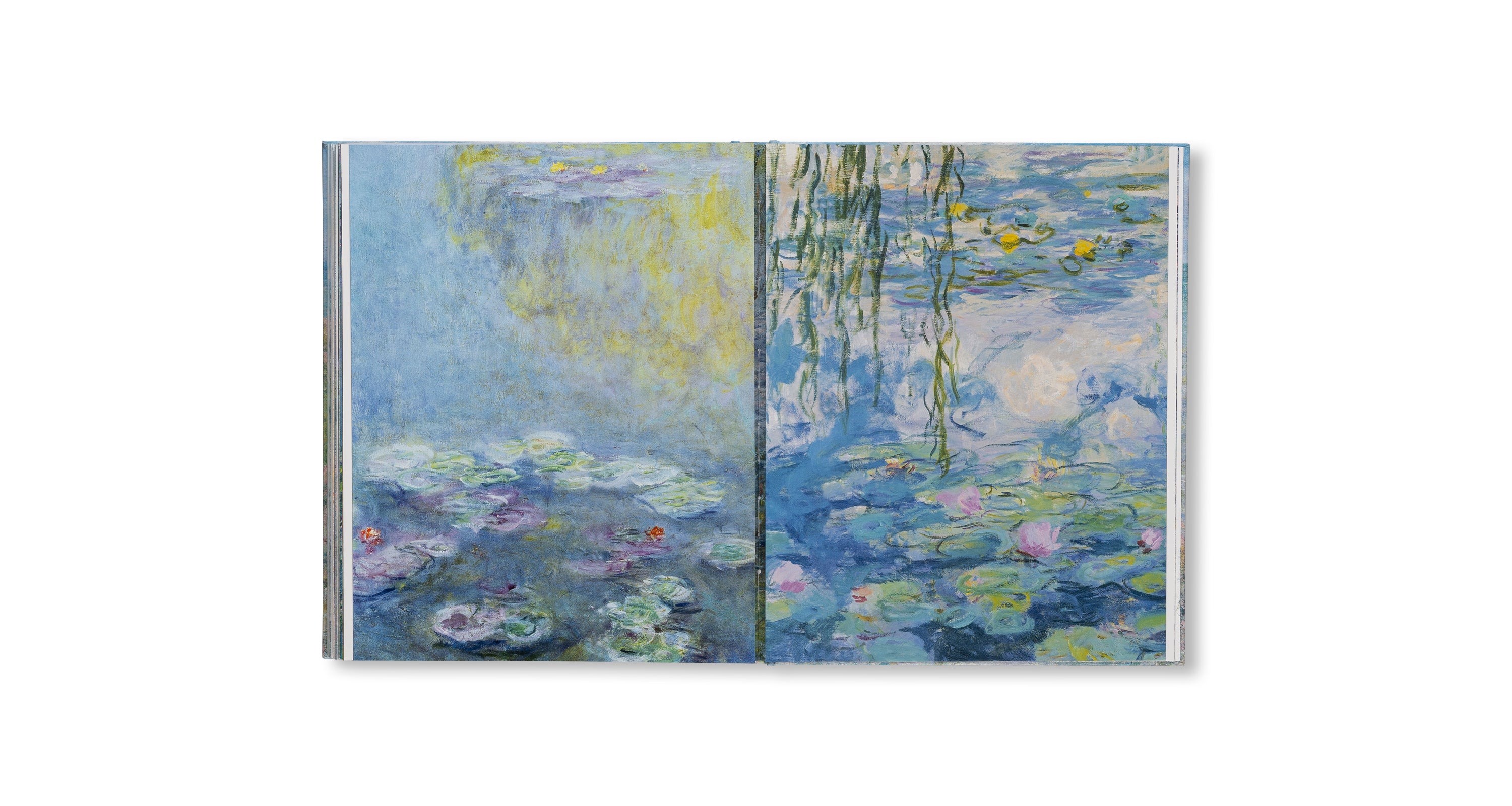 MONET - THE BIGGER PICTURE by Anne Sefrioui