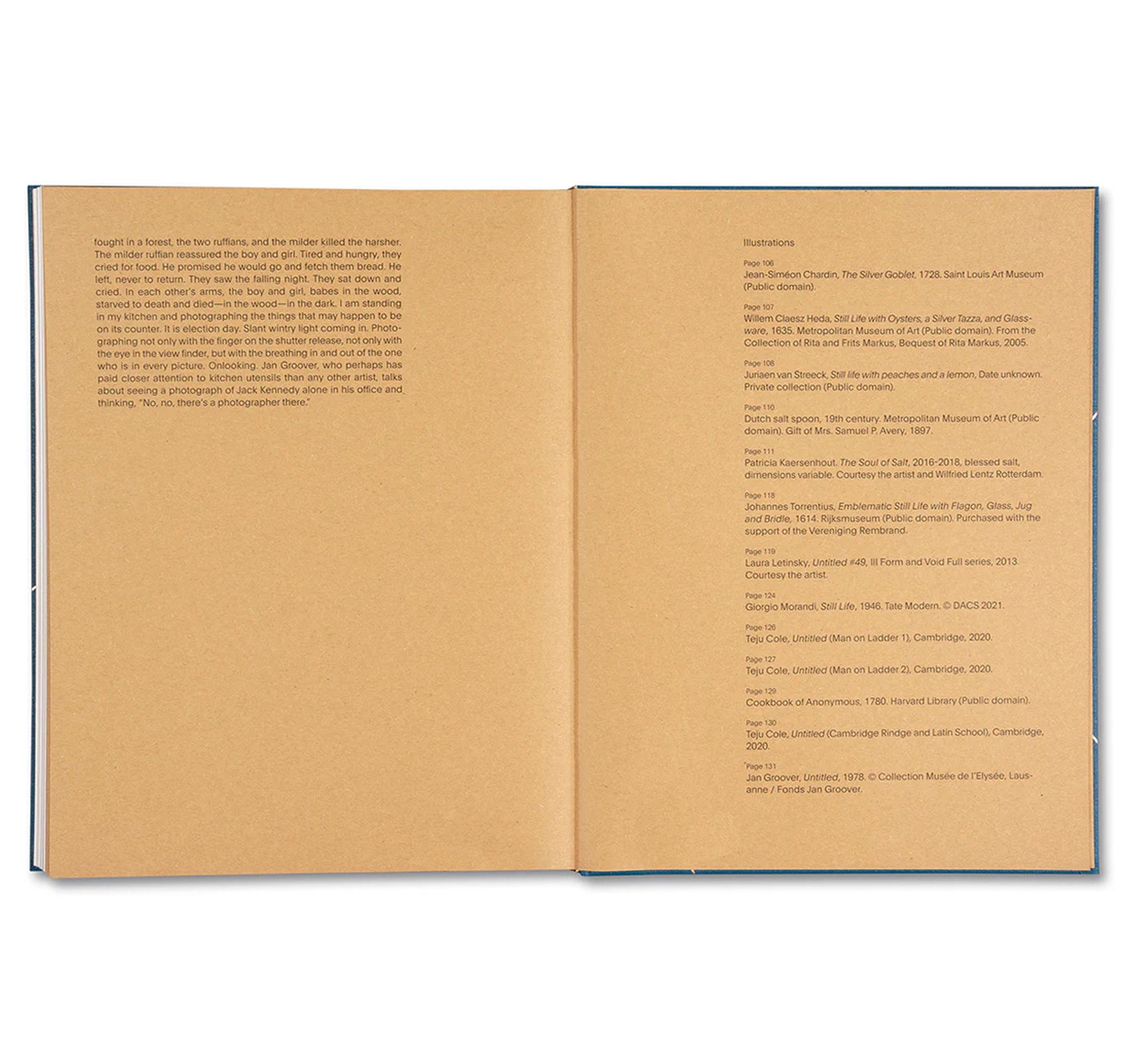 GOLDEN APPLE OF THE SUN by Teju Cole