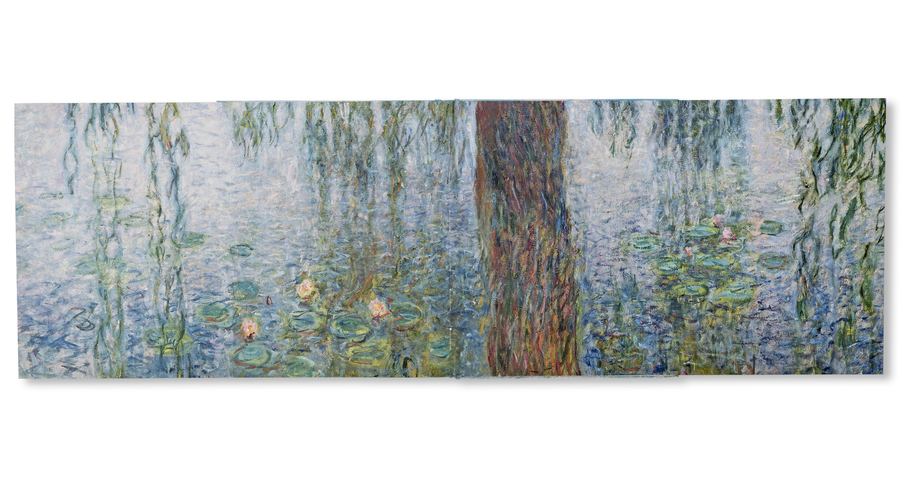 MONET - THE BIGGER PICTURE by Anne Sefrioui
