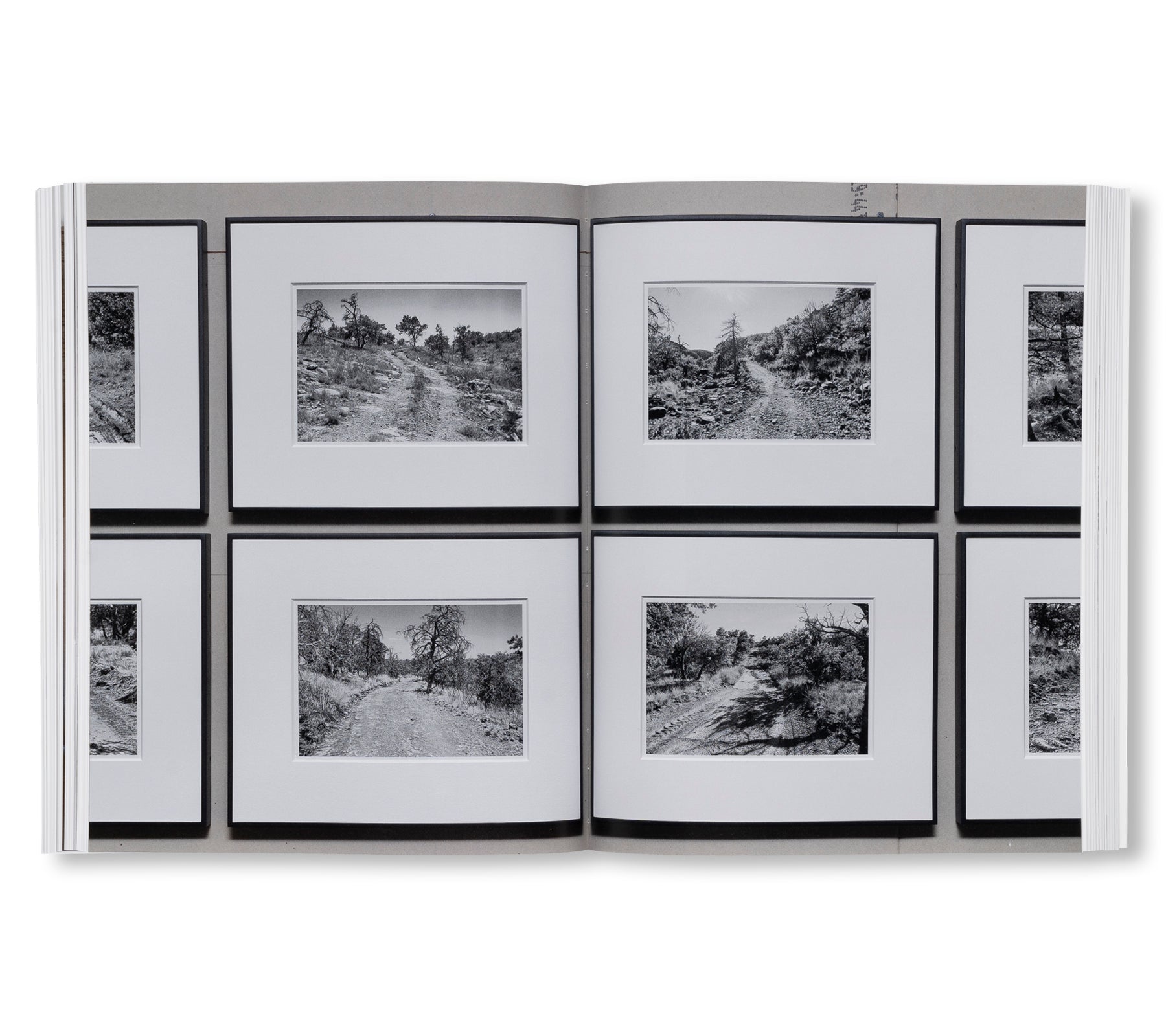 SEE STOP RUN by Christopher Wool