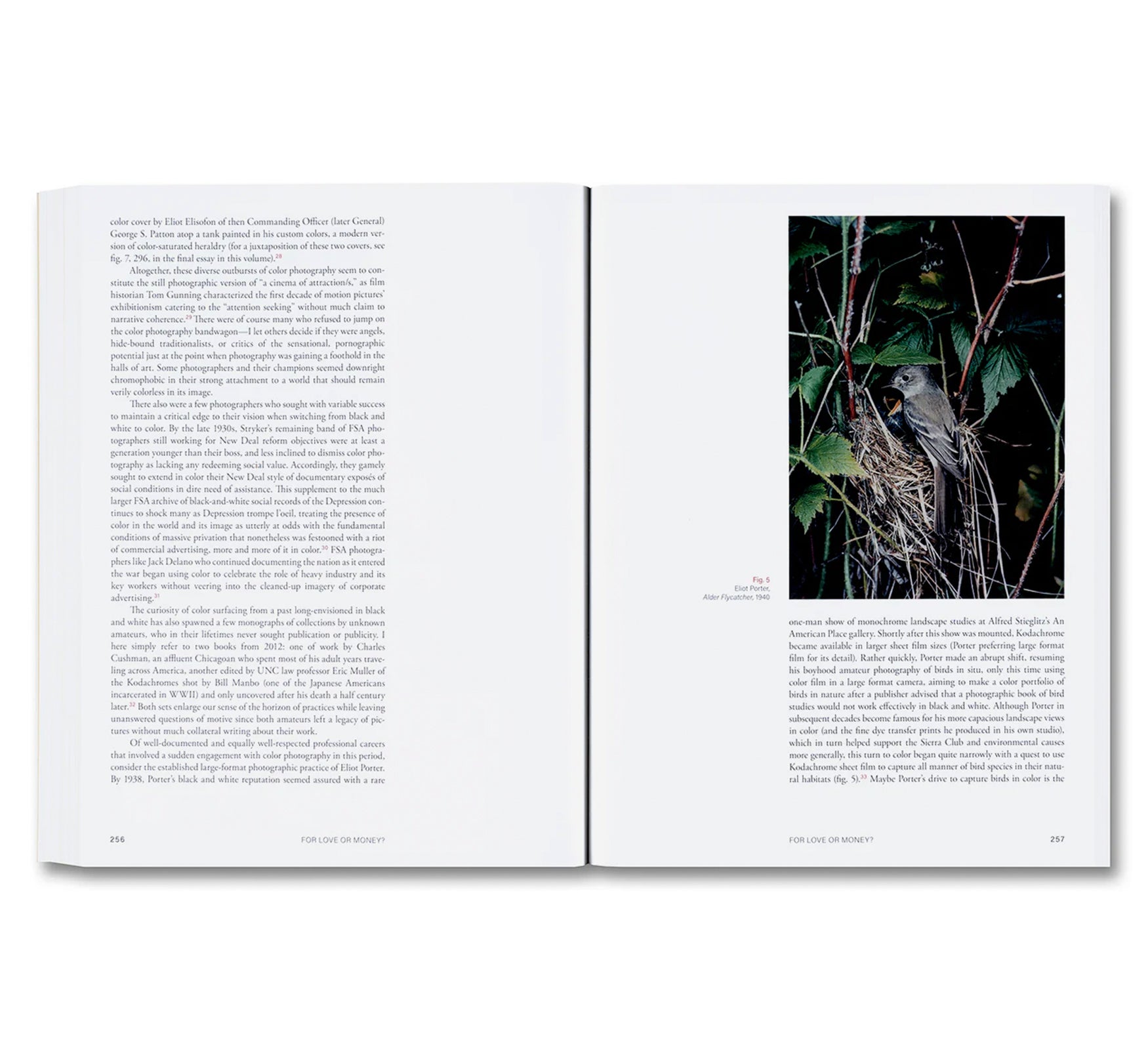 CLOSE-UPS FROM AFAR: SELECTED SHORT AND LONGER ESSAYS ON SOCIAL USES OF PHOTOGRAPHY by Sally Stein