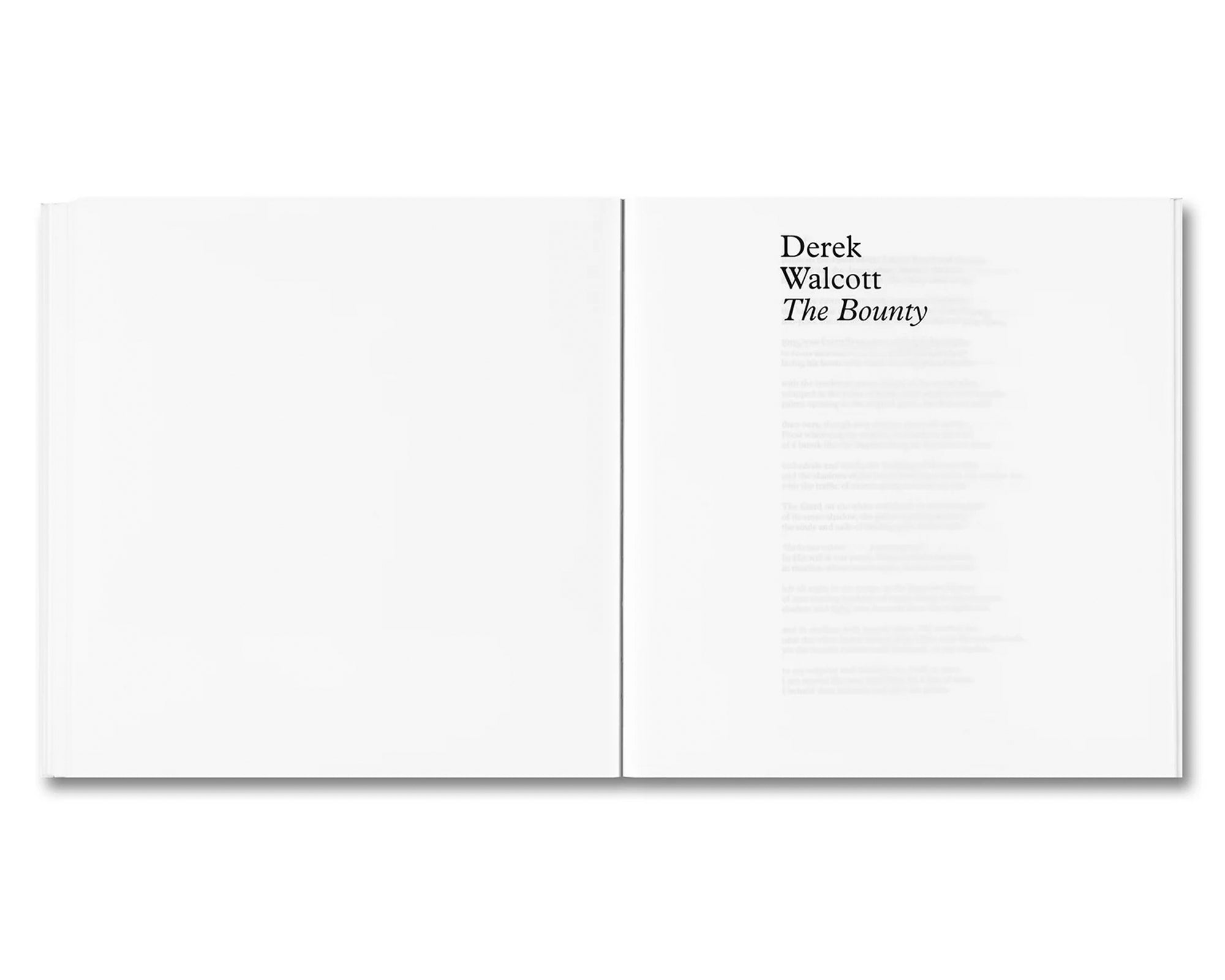 BOUNTY by Steve McQueen