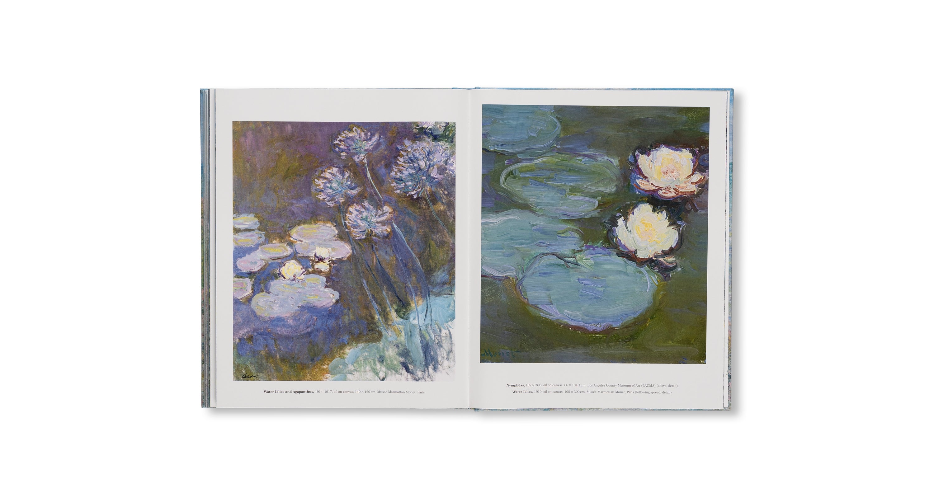 MONET - THE BIGGER PICTURE by Anne Sefrioui
