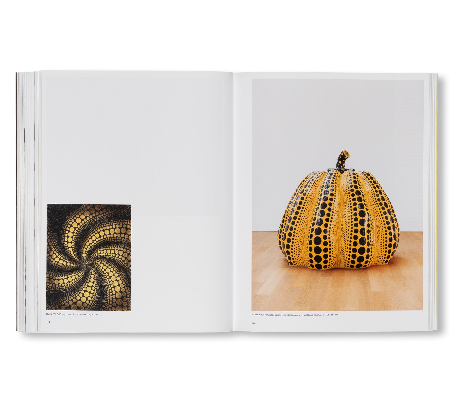 YAYOI KUSAMA by Yayoi Kusama [ENGLISH EDITION] (HATJE CANTZ)