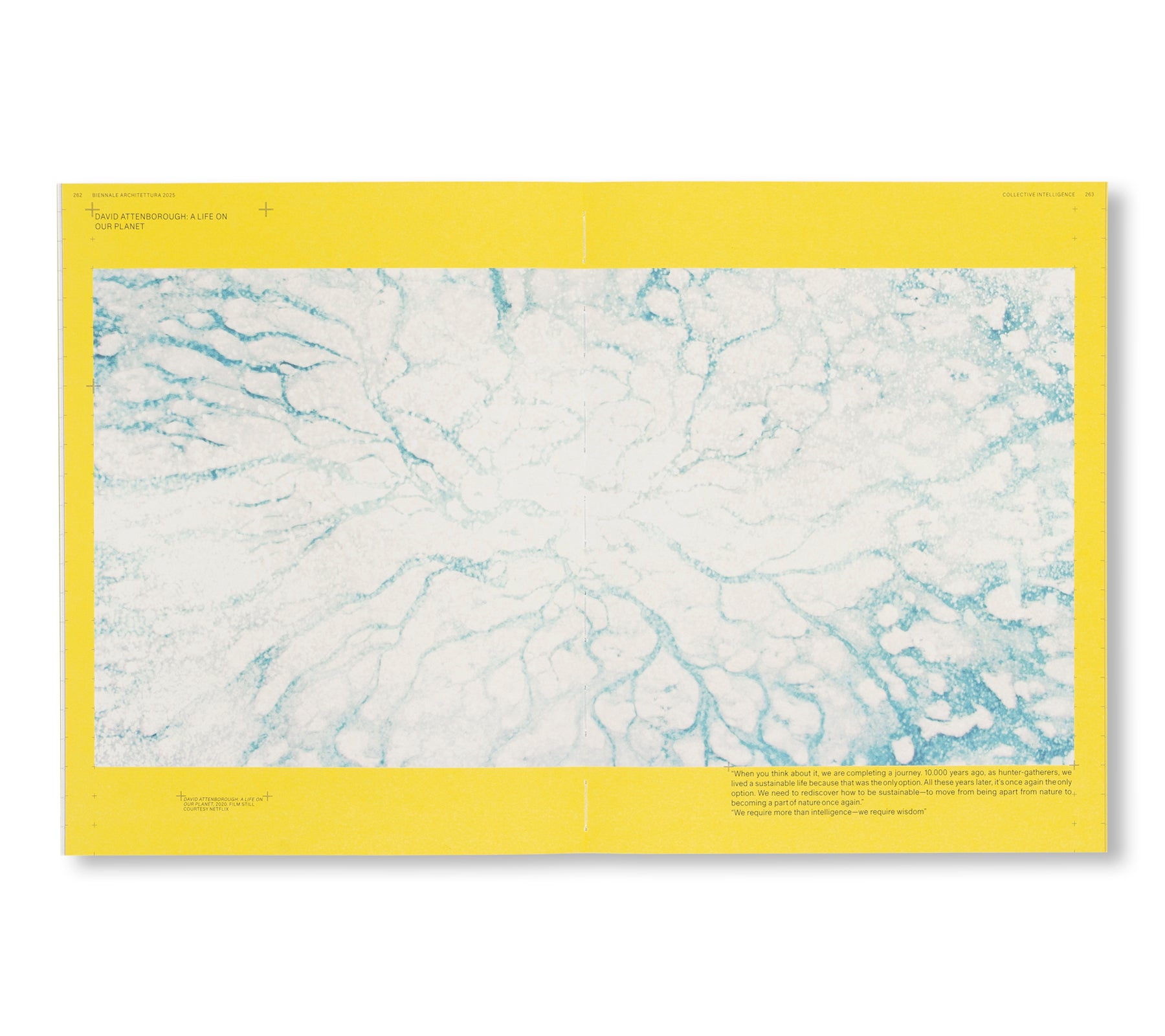 BIENNALE ARCHITETTURA 2025: INTELLIGENS. NATURAL. ARTIFICIAL. COLLECTIVE.