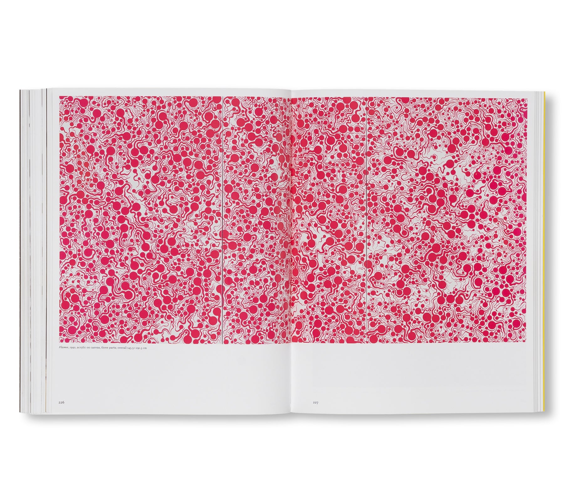 YAYOI KUSAMA by Yayoi Kusama [ENGLISH EDITION] (HATJE CANTZ)