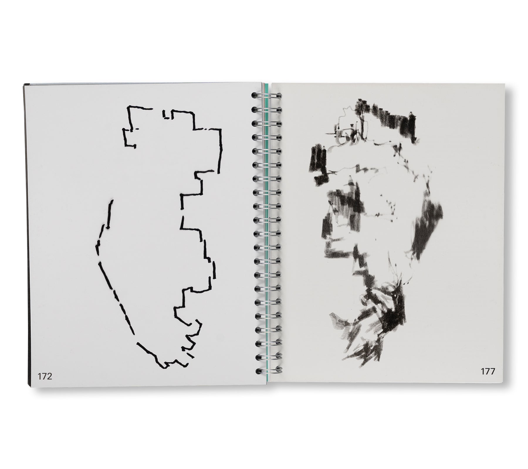 FORMS OF CONTINGENCY AND PATTERN OF IMMINENCE by Gabriel Kuri