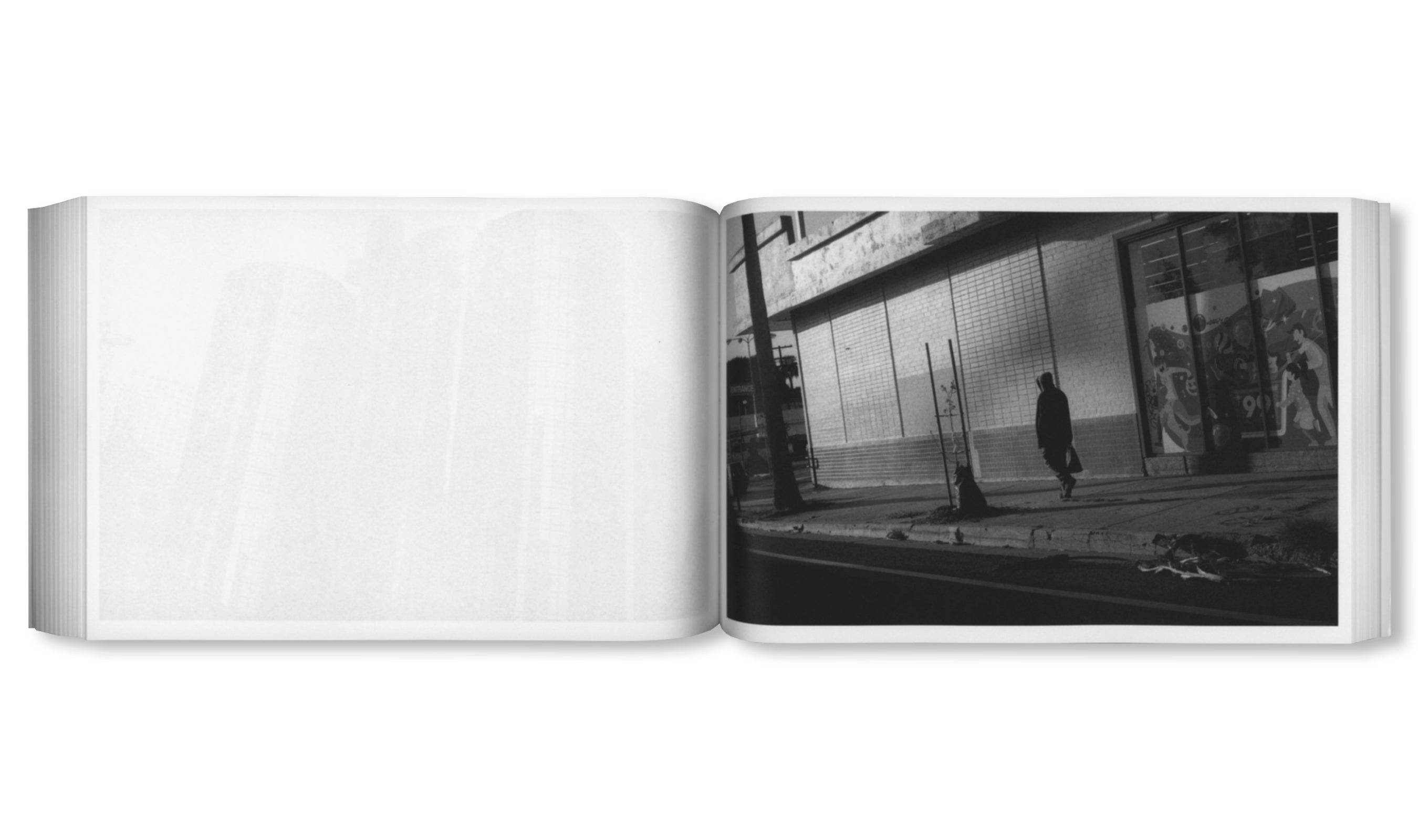 DAMAGED by Paul Grund [SIGNED]