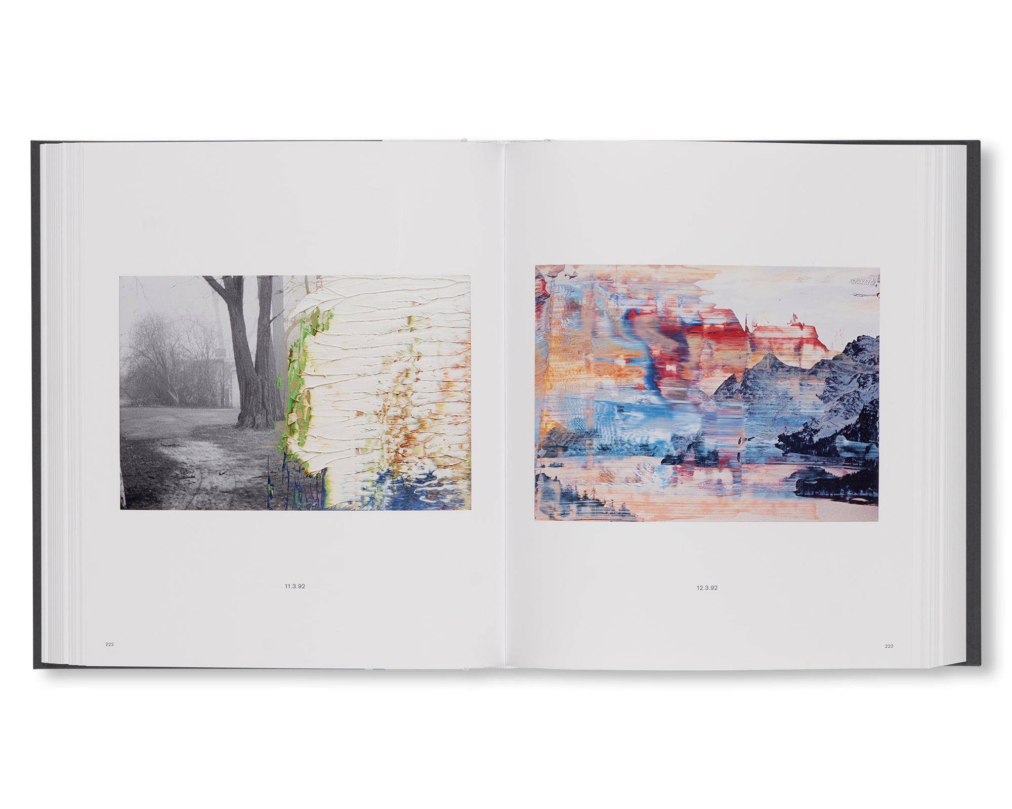 THE OVERPAINTED PHOTOGRAPHS by Gerhard Richter