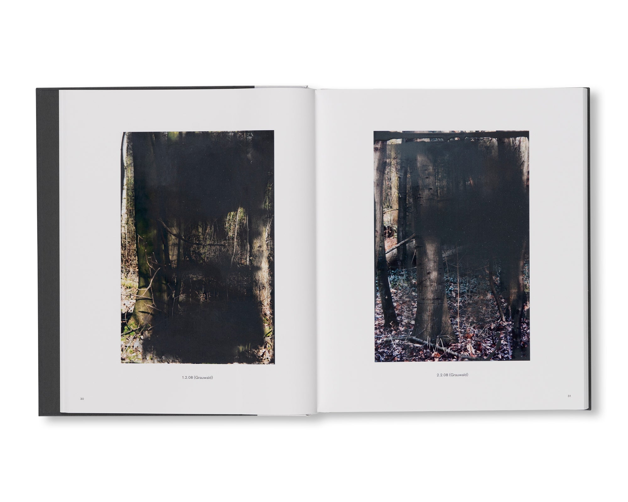 THE OVERPAINTED PHOTOGRAPHS by Gerhard Richter