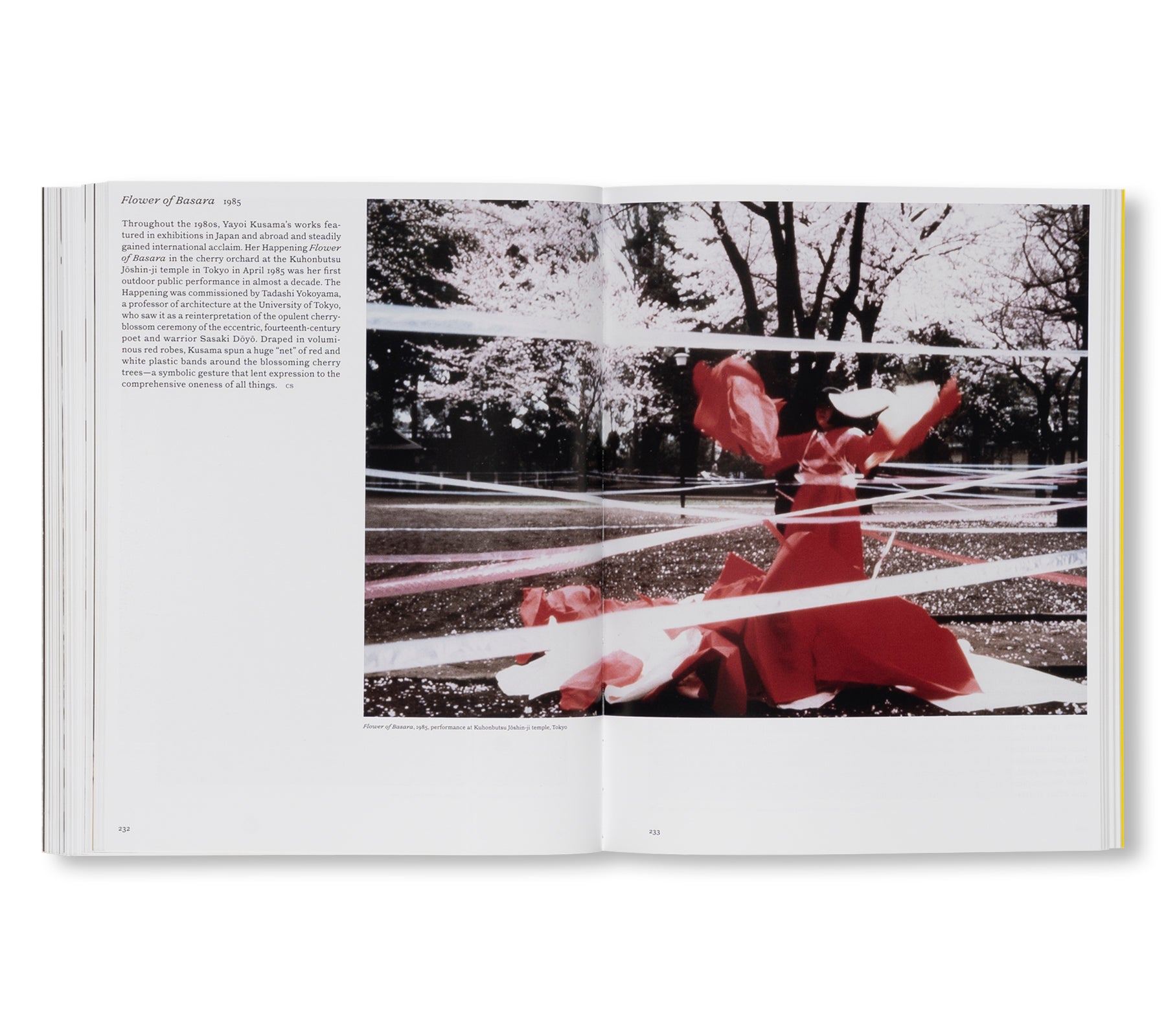 YAYOI KUSAMA by Yayoi Kusama [ENGLISH EDITION] (HATJE CANTZ)