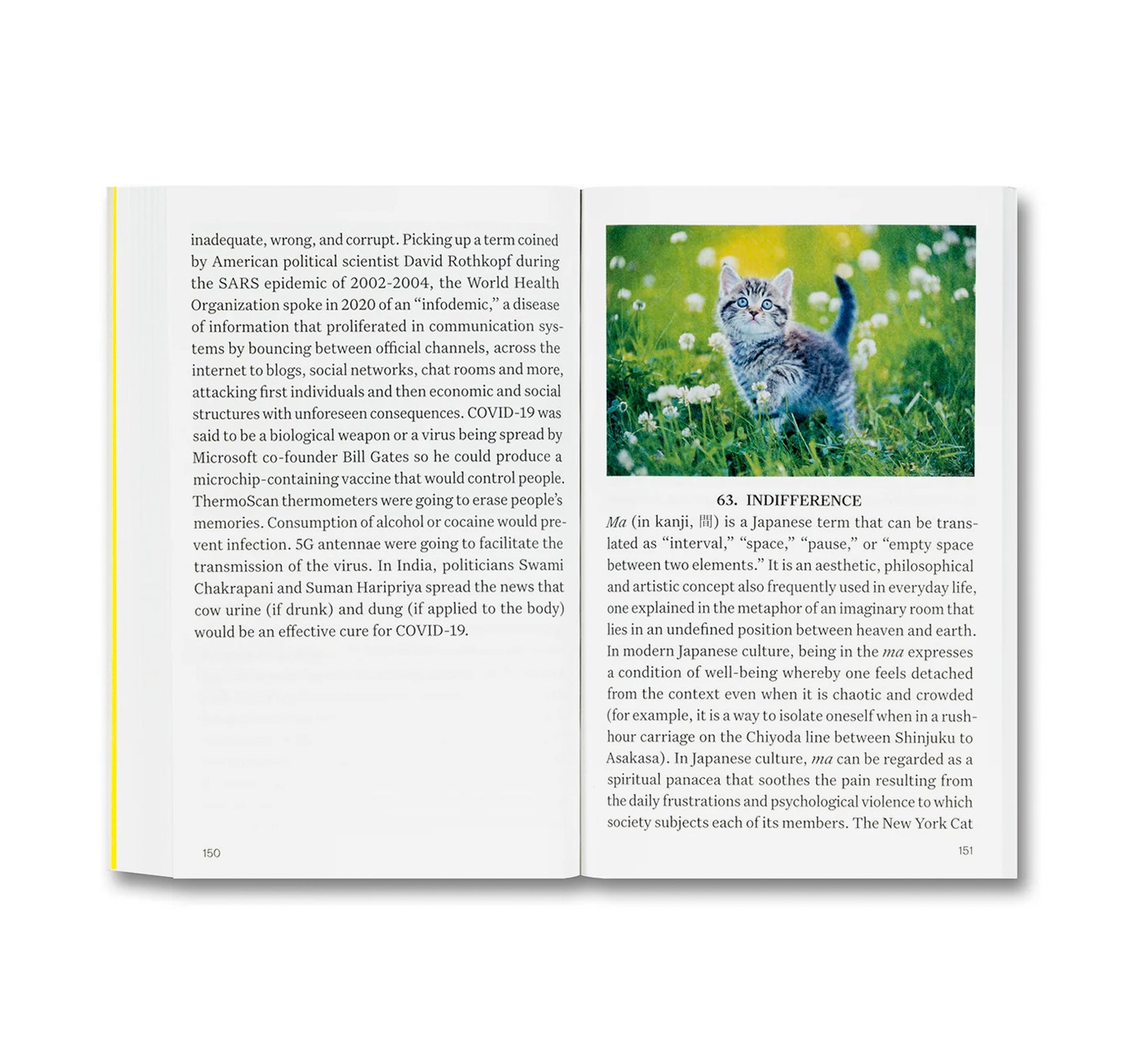 IRRATIONAL: A VISUAL DIRECTORY TO A WORLD WITH NO REASON by Francesco Jodice & Francesco Zanot