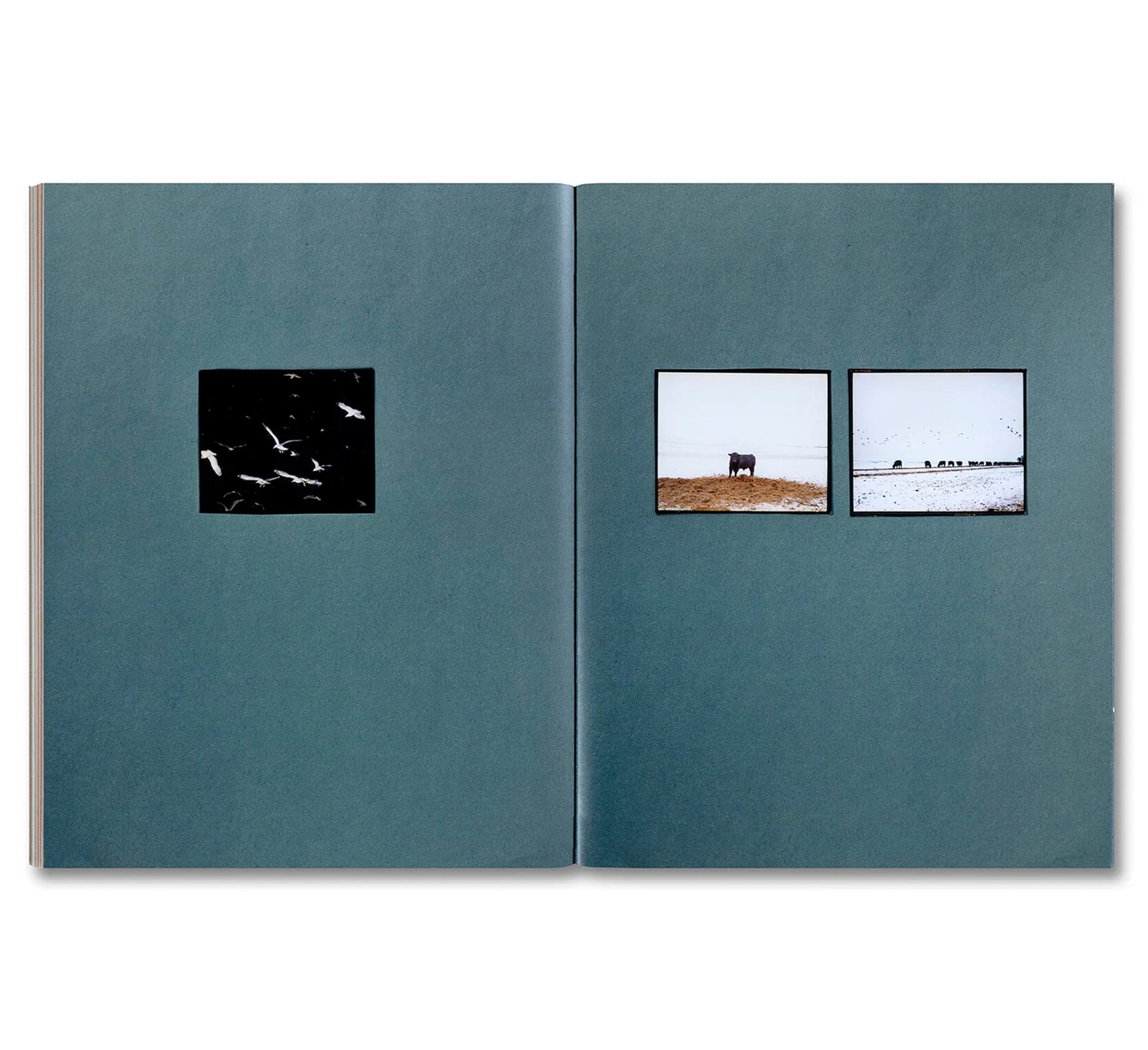 OMAHA SKETCHBOOK by Gregory Halpern [SECOND EDITION]