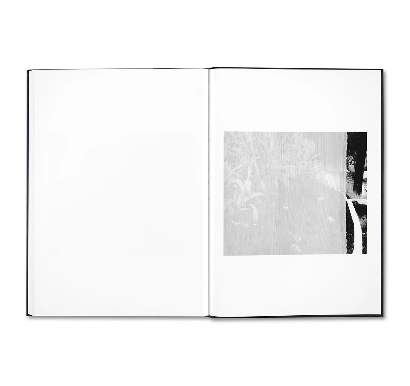 EVIDENCE by James White
