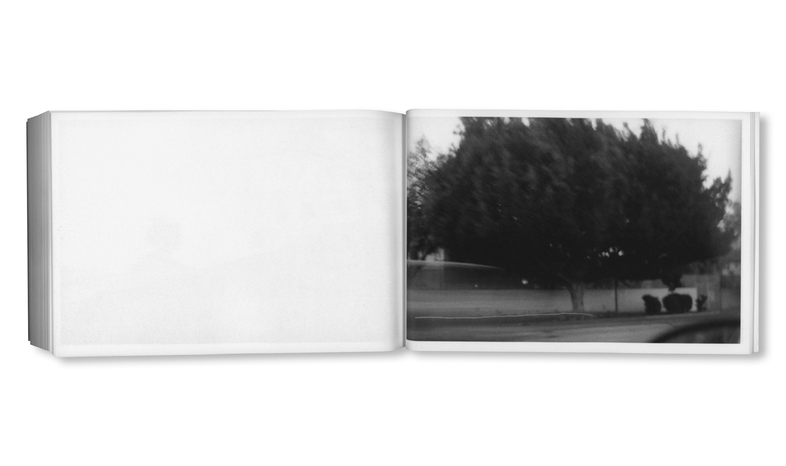 DAMAGED by Paul Grund [SIGNED]