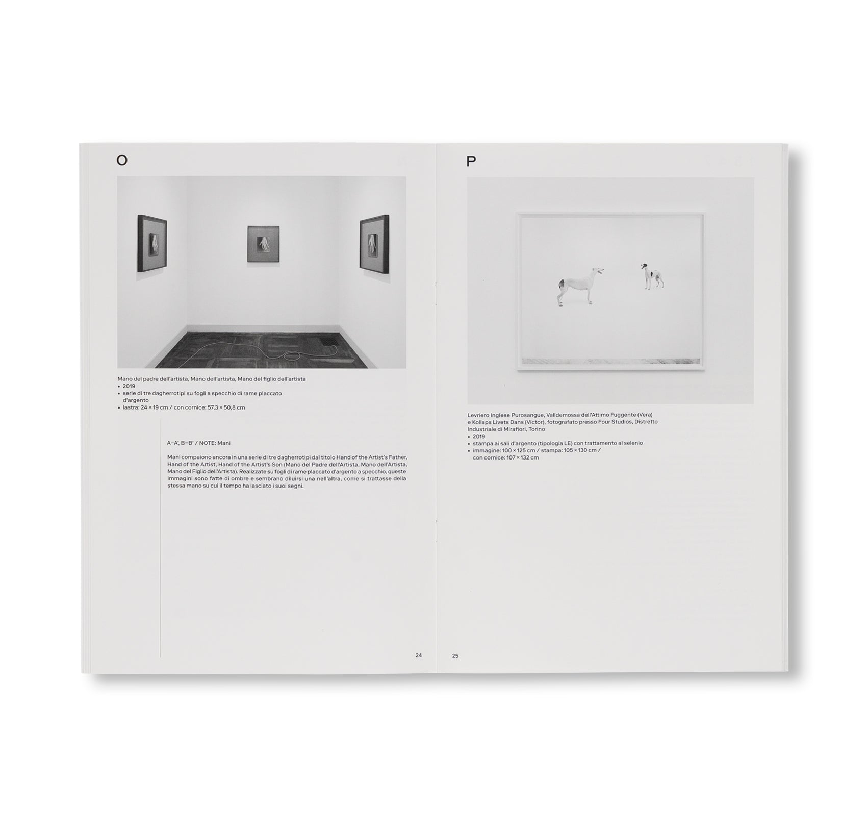 A–A’, B–B’ by Simon Starling