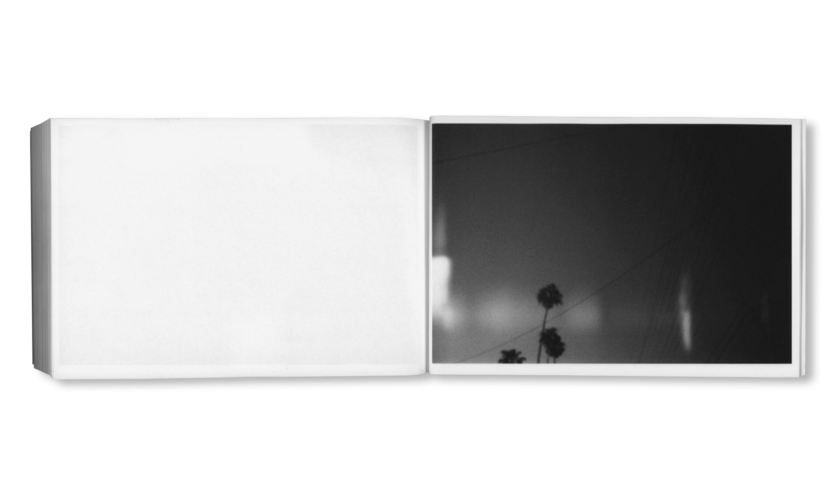 DAMAGED by Paul Grund [SIGNED]