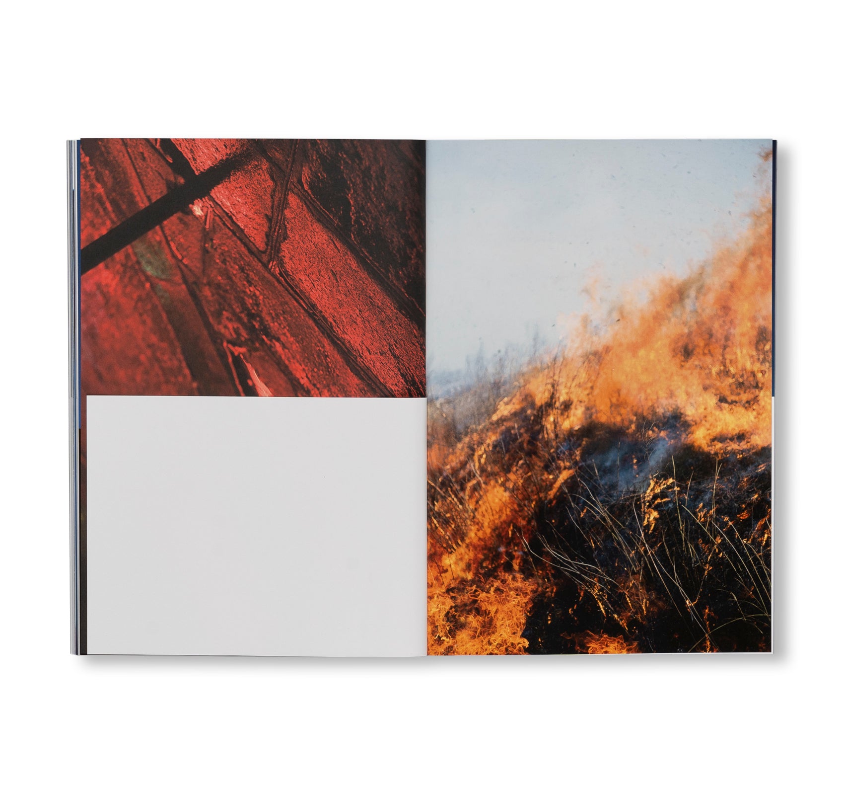 SEQUENCES by Yuichiro Noda [SPECIAL EDITION]