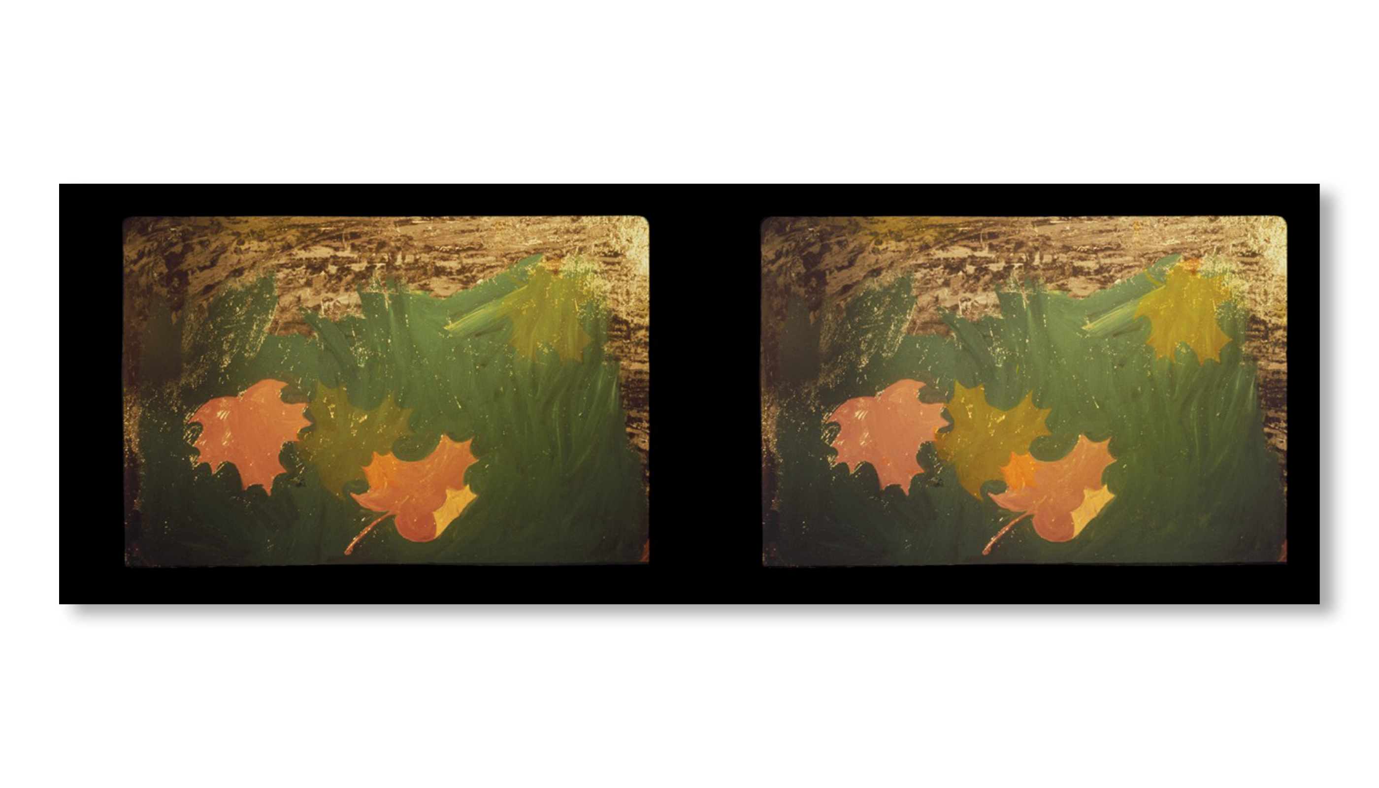 SLIDES OF A CHANGING PAINTING by Robert Gober