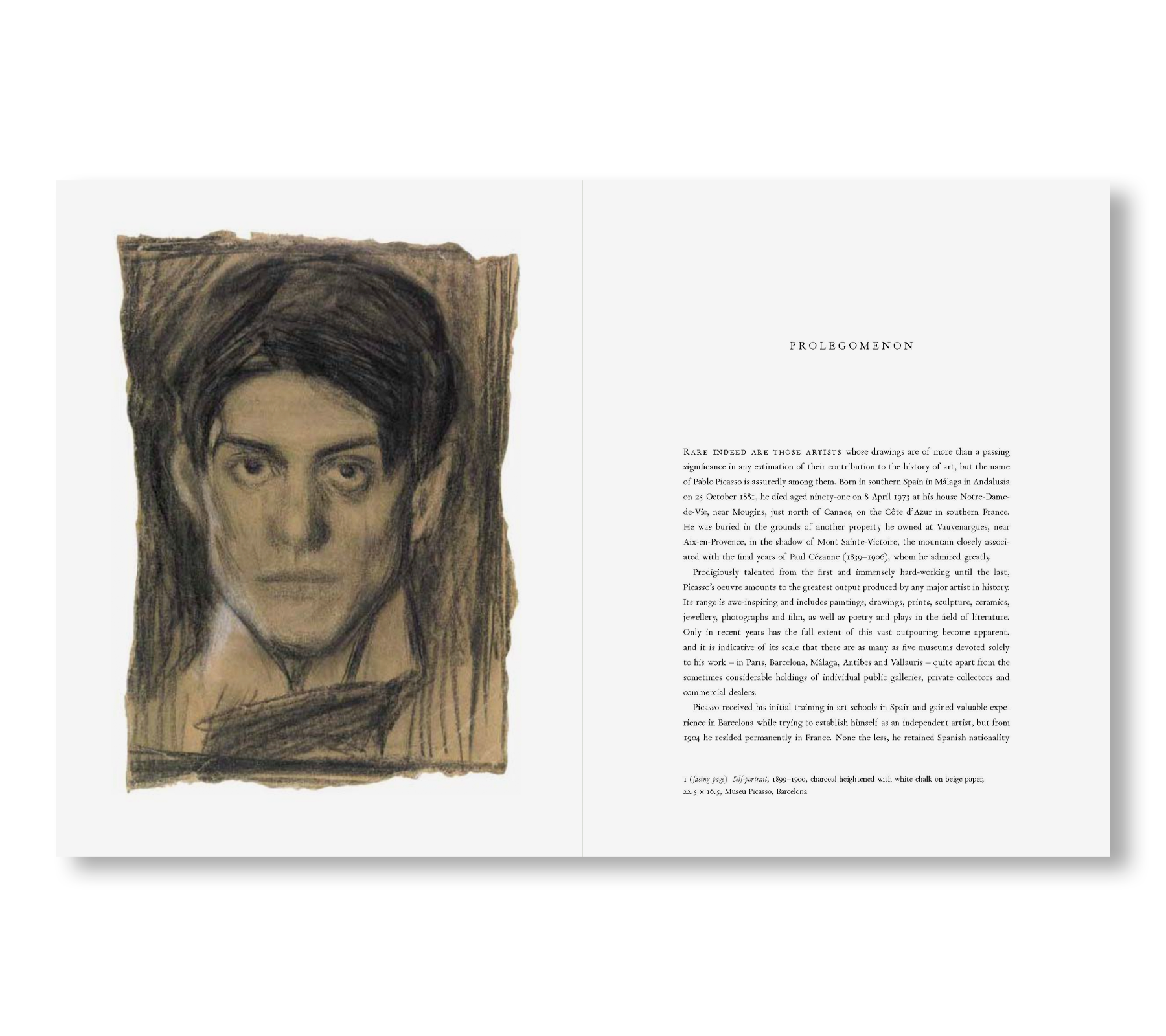 PICASSO AND THE ART OF DRAWING by Pablo Picasso