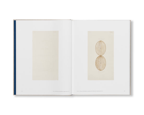 HILMA AF KLINT: GEOMETRIC SERIES AND OTHER WORKS 1917–1920