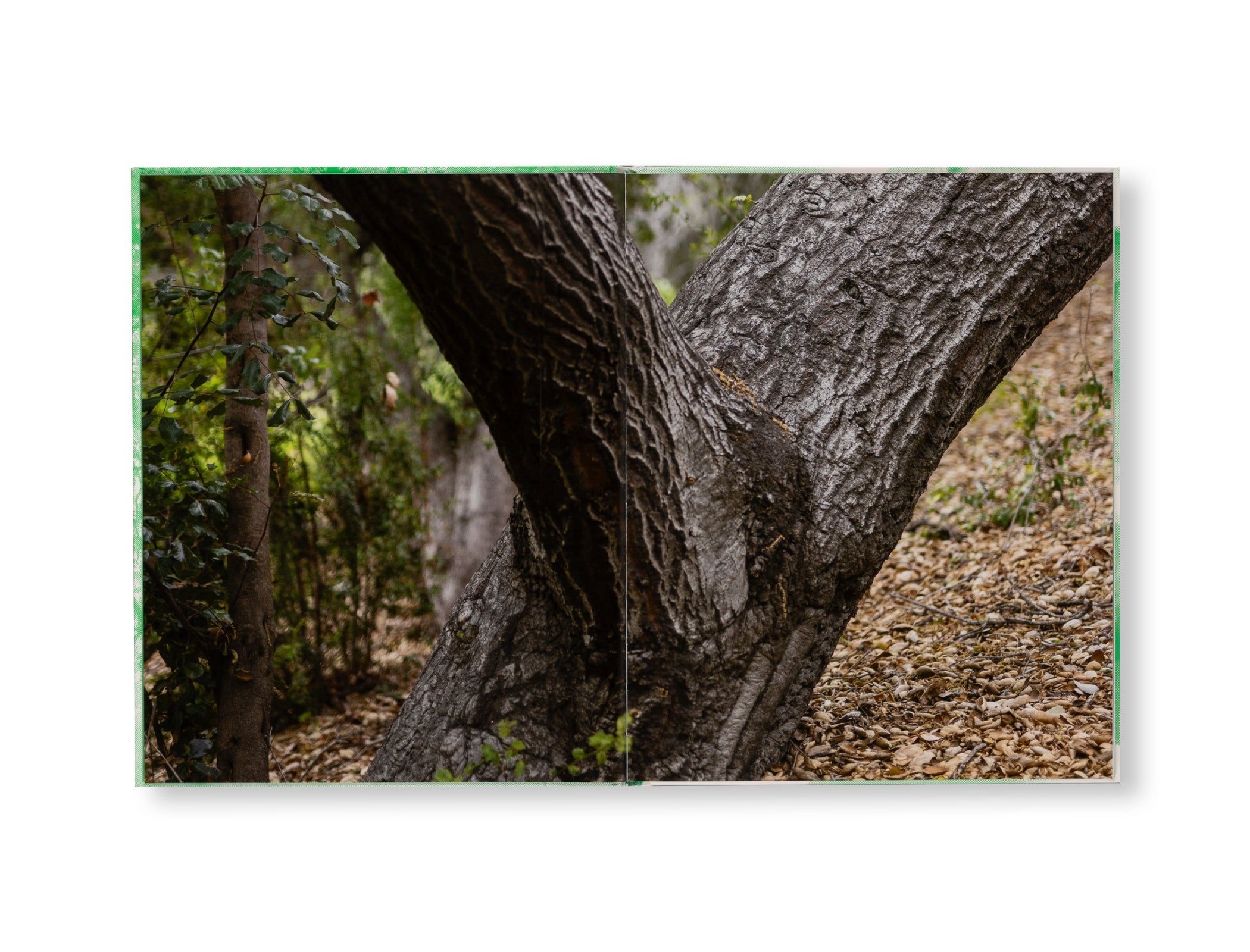 IN DEFENSE OF NATURE by Joseph Beuys