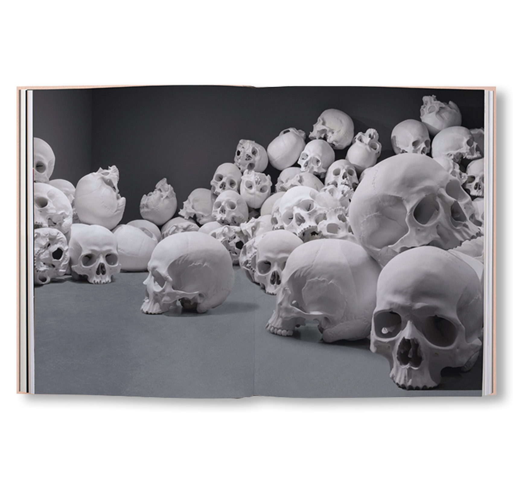 RON MUECK by Ron Mueck – twelvebooks RON MUECK by Ron Mueck – twelvebooks