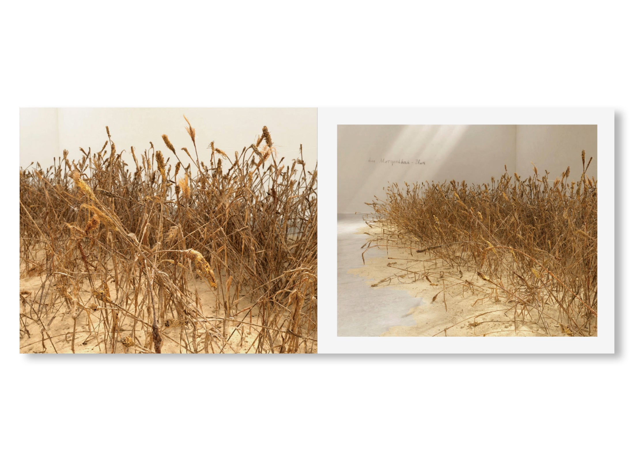 SOLARIS by Anselm Kiefer