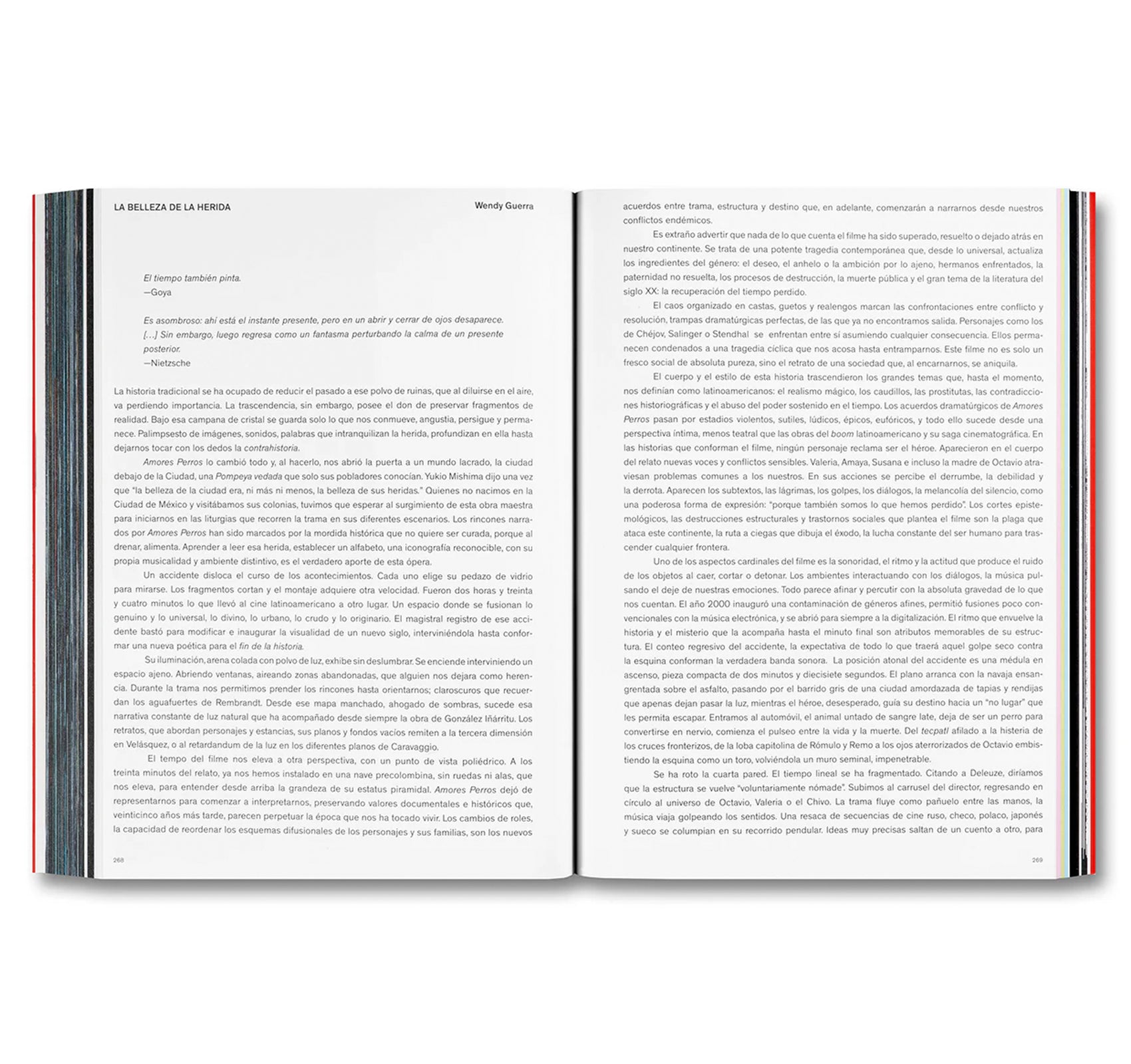 AMORES PERROS by Alejandro G. Iñárritu