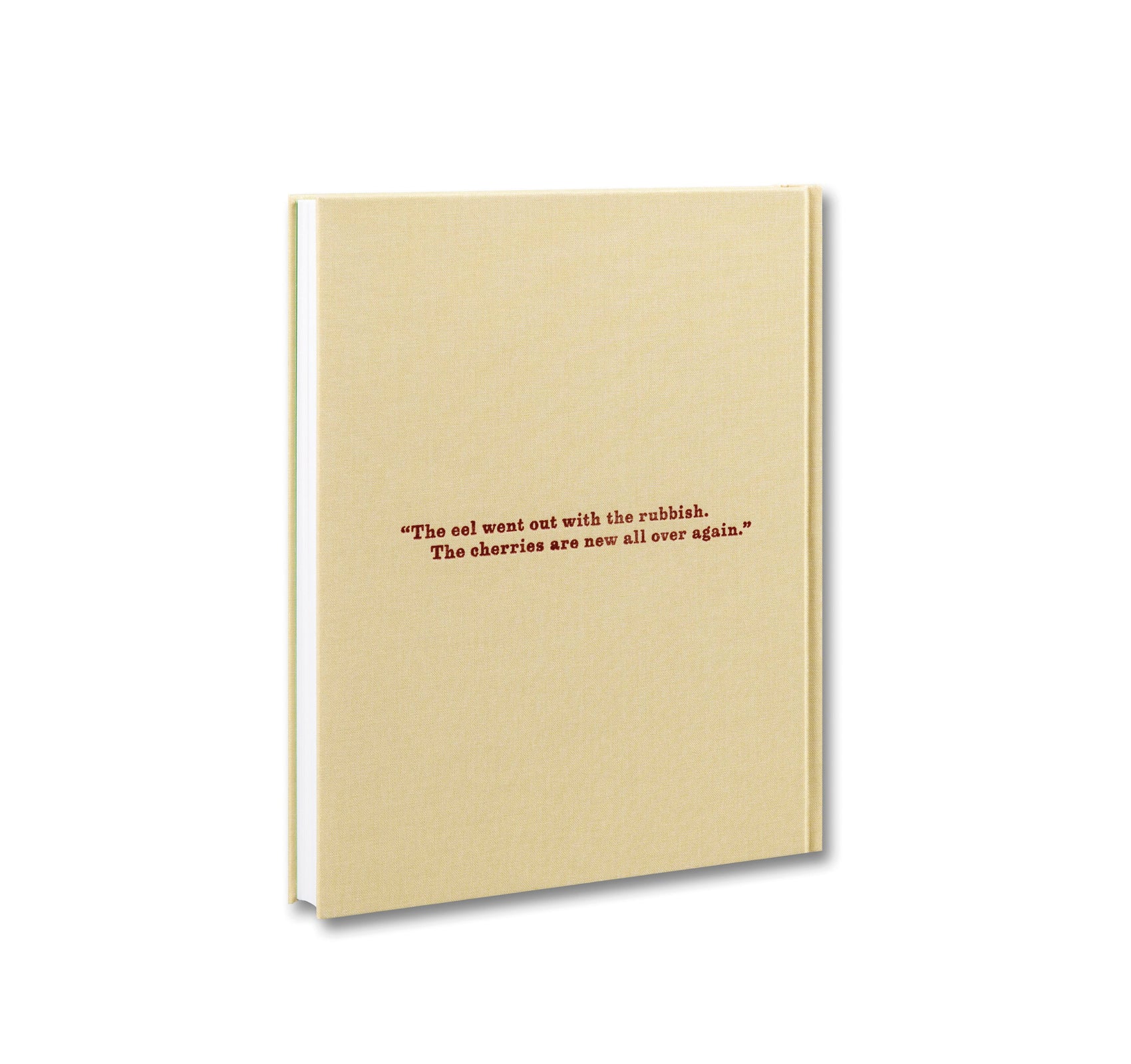 PAINTING WRITING TEXTING by Chantal Joffe, Olivia Laing