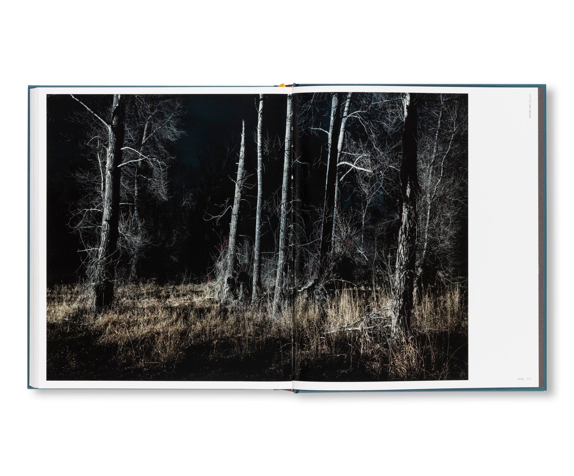 INTIMATE DISTANCE: OVER THIRTY YEARS OF PHOTOGRAPHS, A CHRONOLOGICAL ALBUM  by Todd Hido [REVISED AND EXPANDED EDITION]